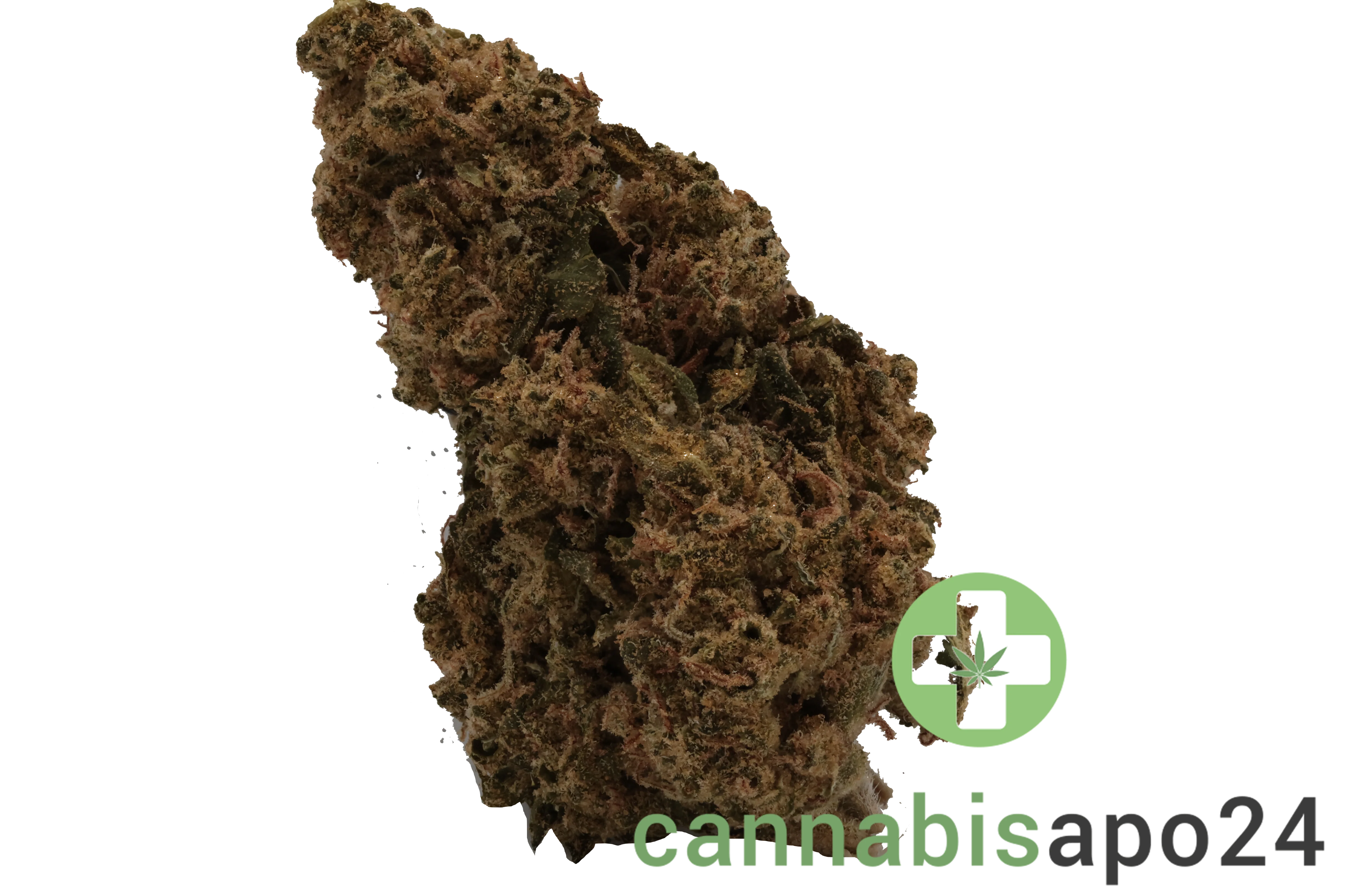 Canify Flos 22/1 UY PDB - Purple Dog Bud