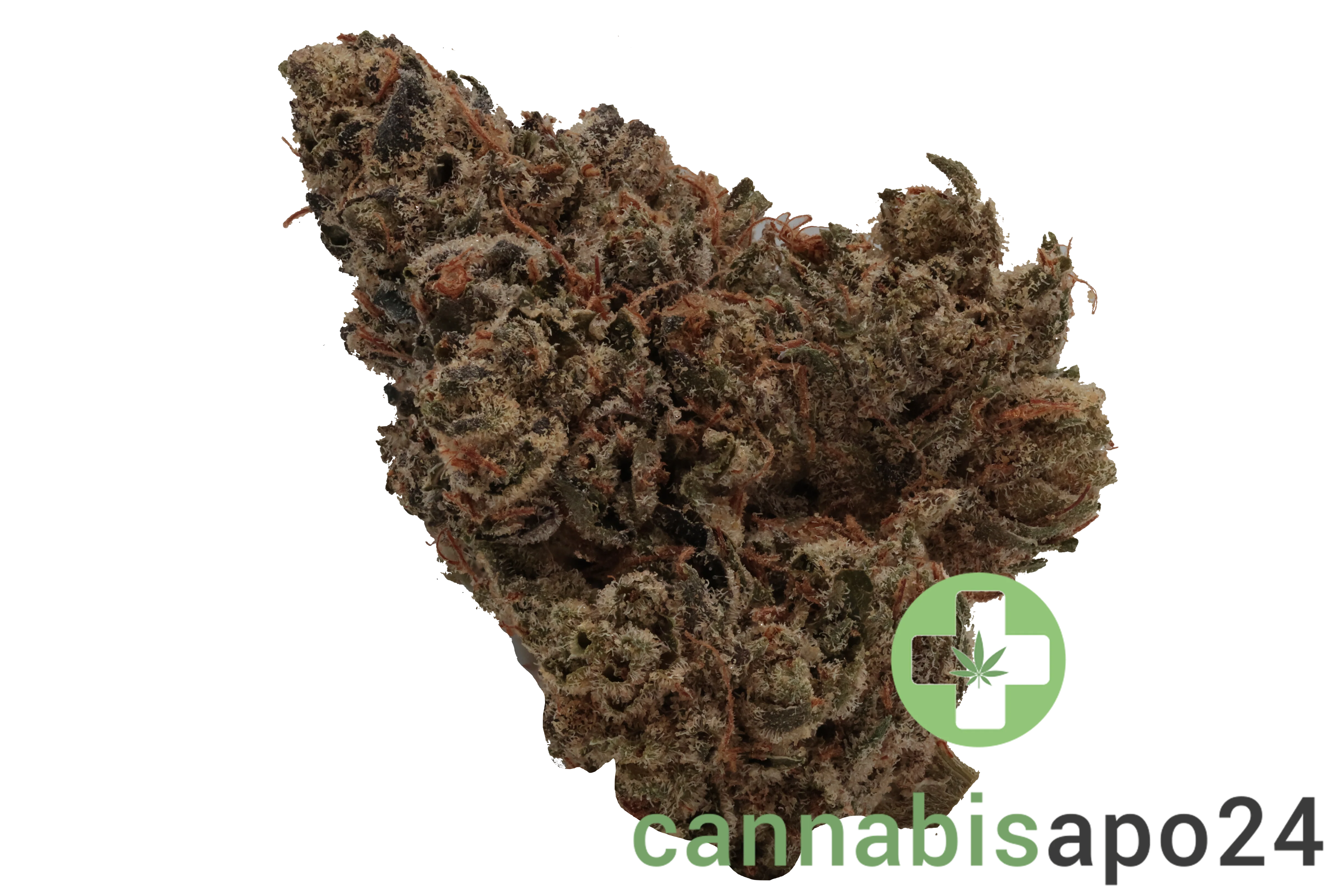 Canify Flos 23/1 PT Pink Kush