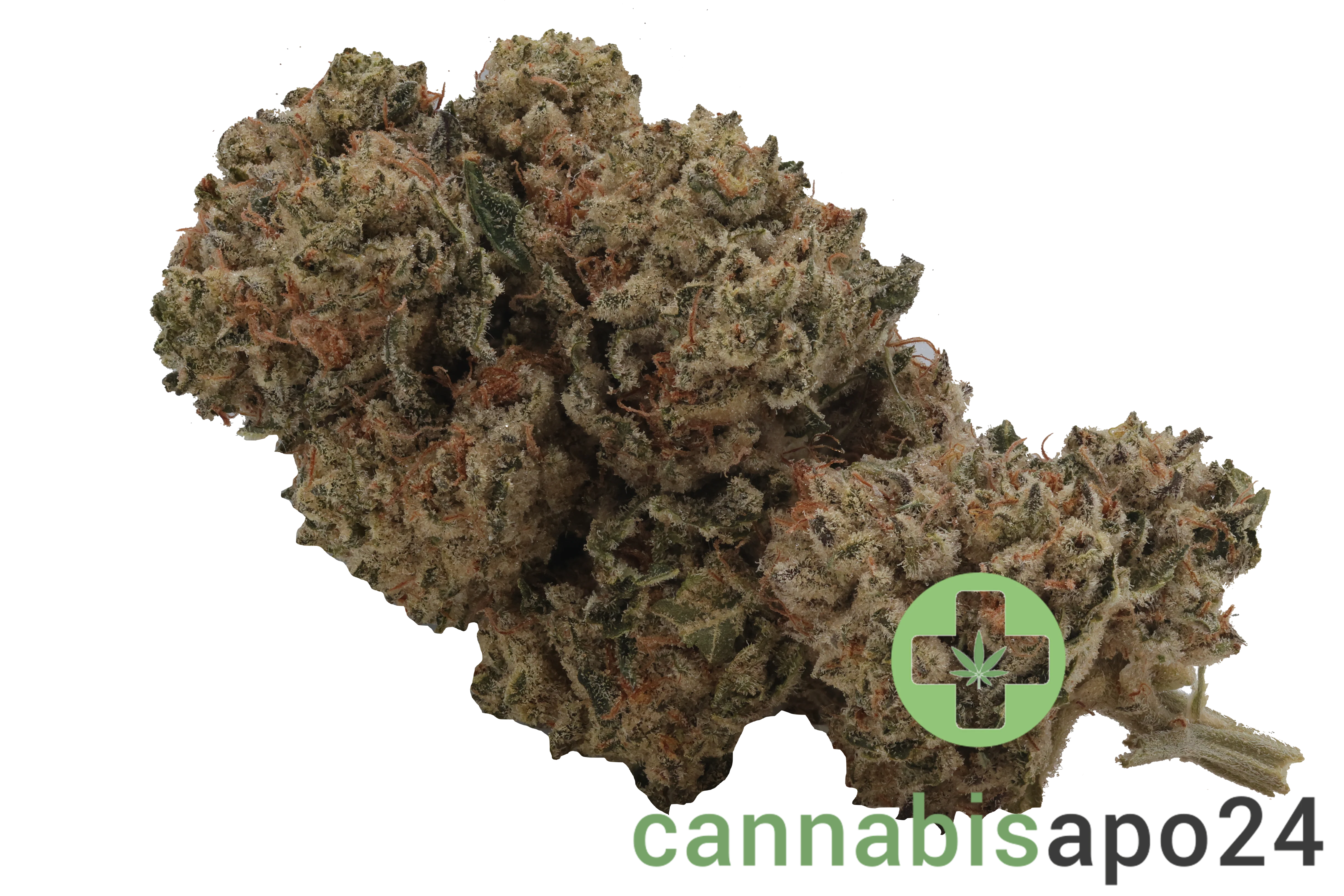 Cannabis flos 28/1 CSF Ku. Cape Venin