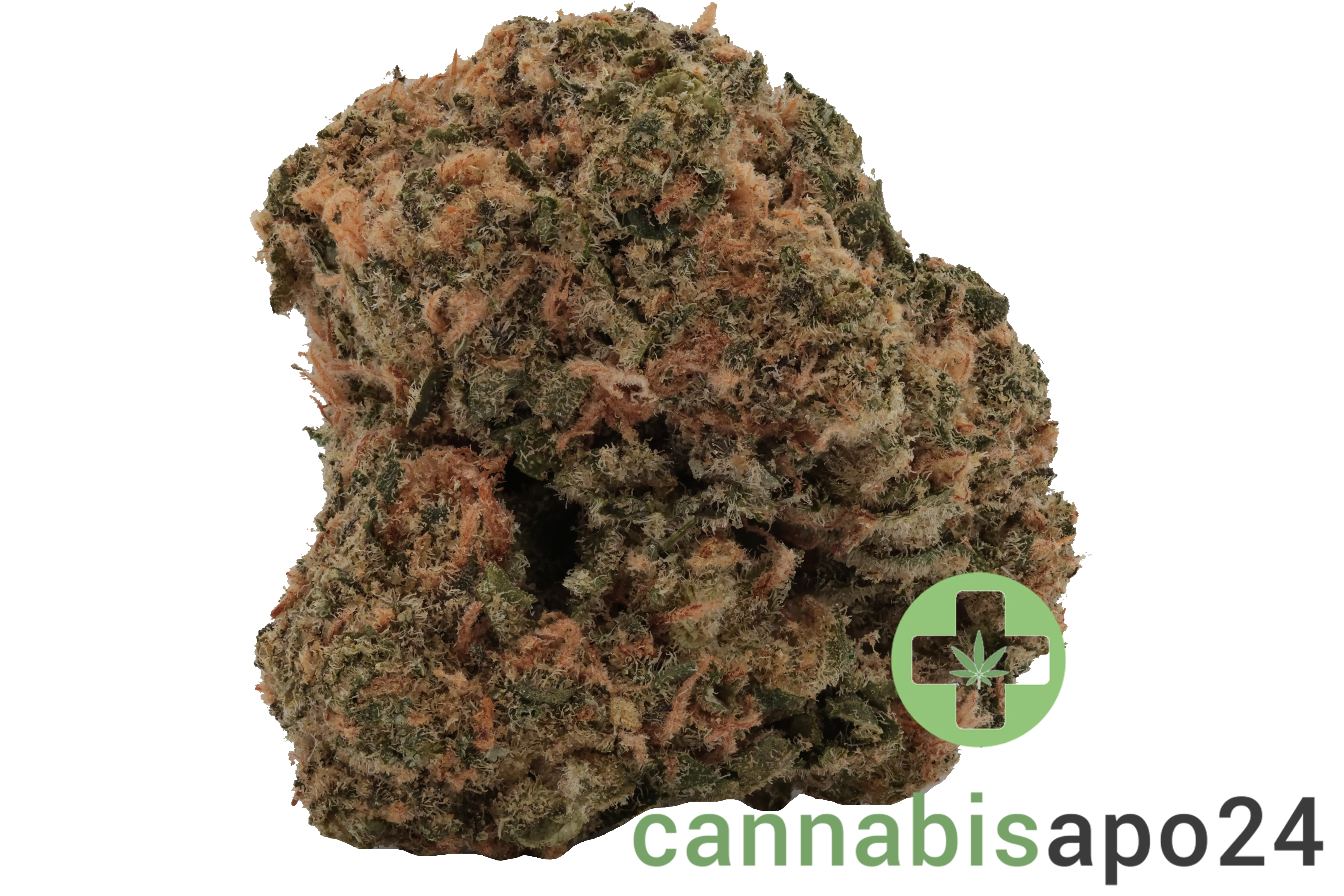 CannabiStada 22/1 WAP