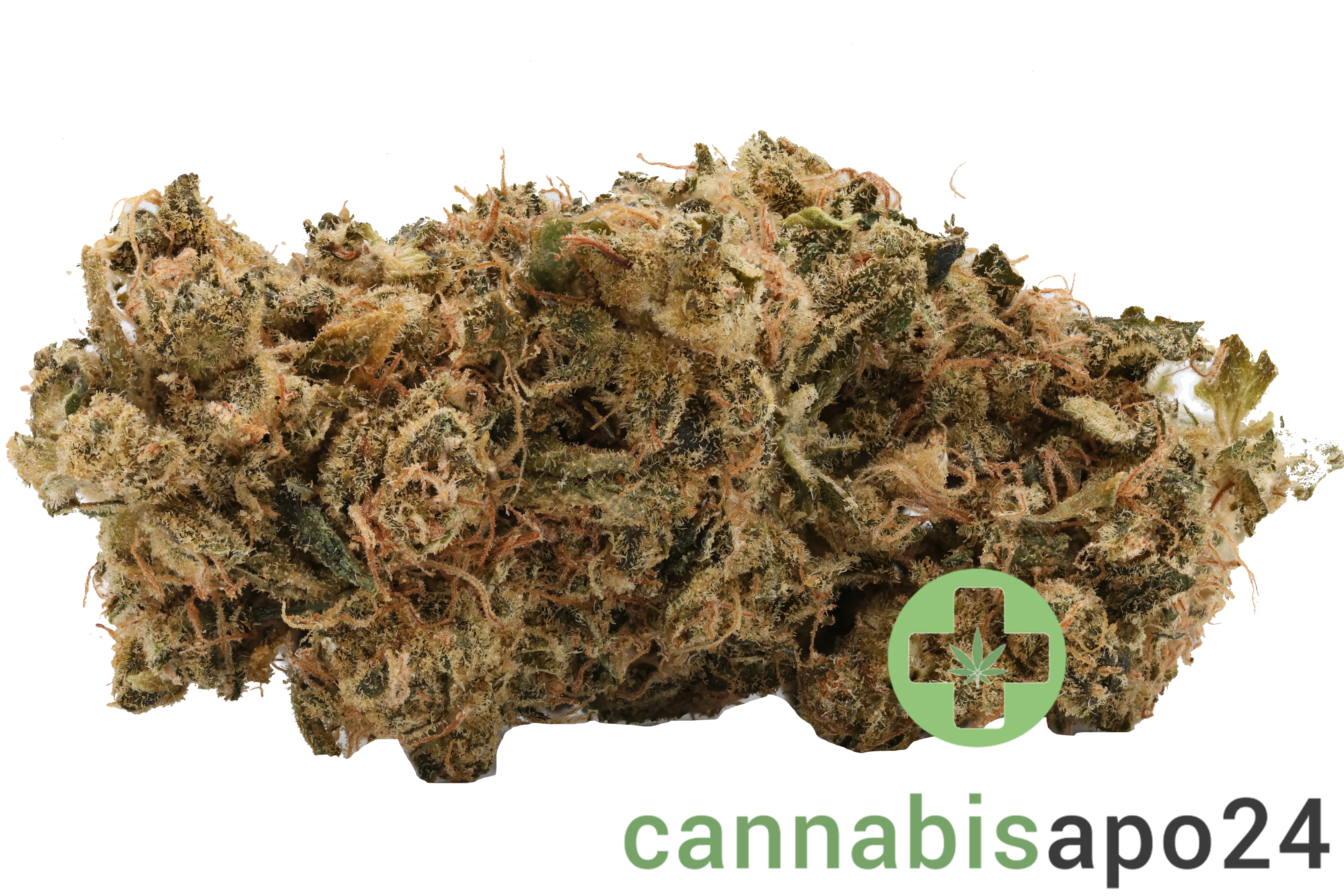 Cannamedical 24/1 ZA