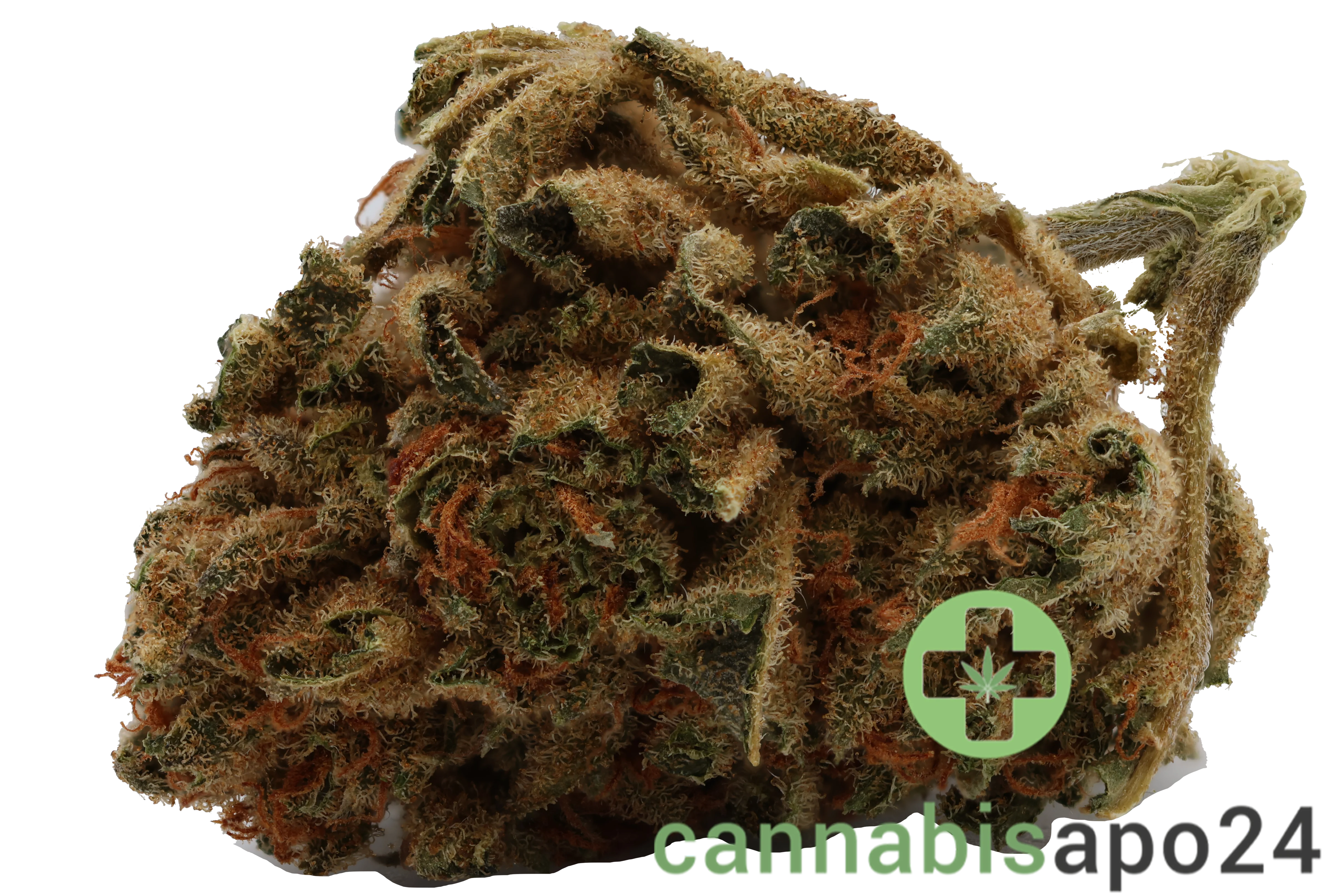 Cannamedical Balanced classic 8/8