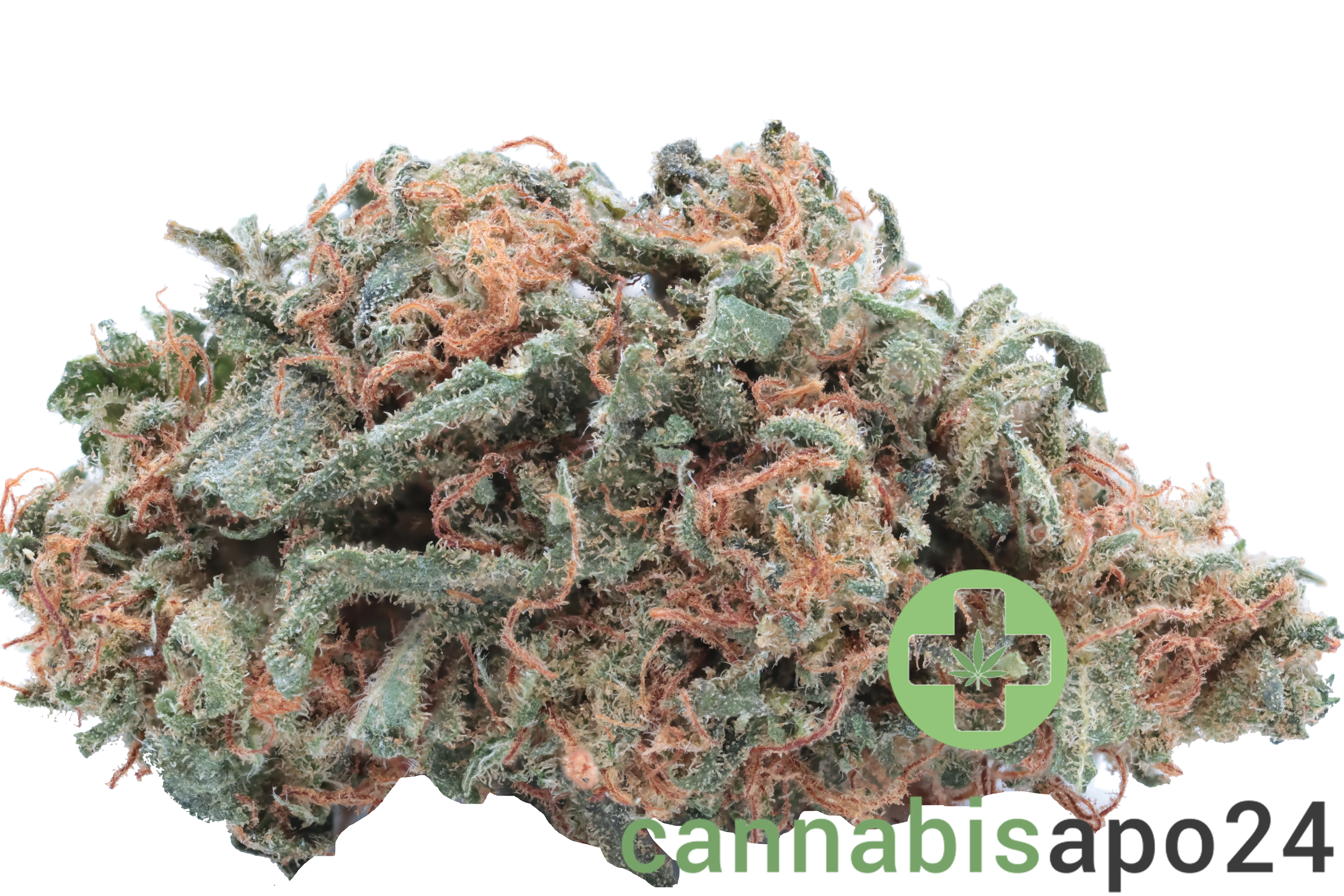 Cannamedical Balanced classic Mango Haze