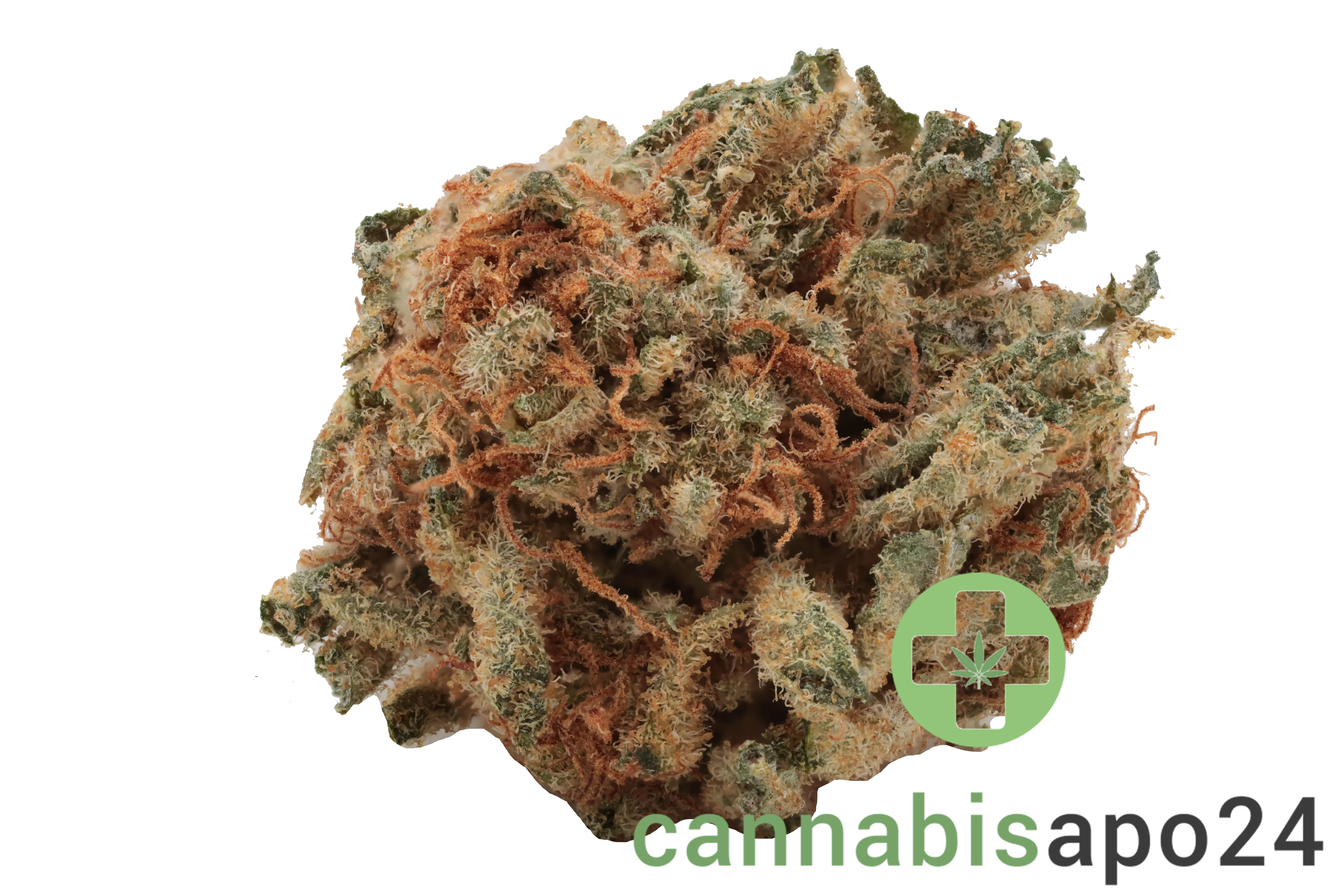 Cannamedical Balanced light