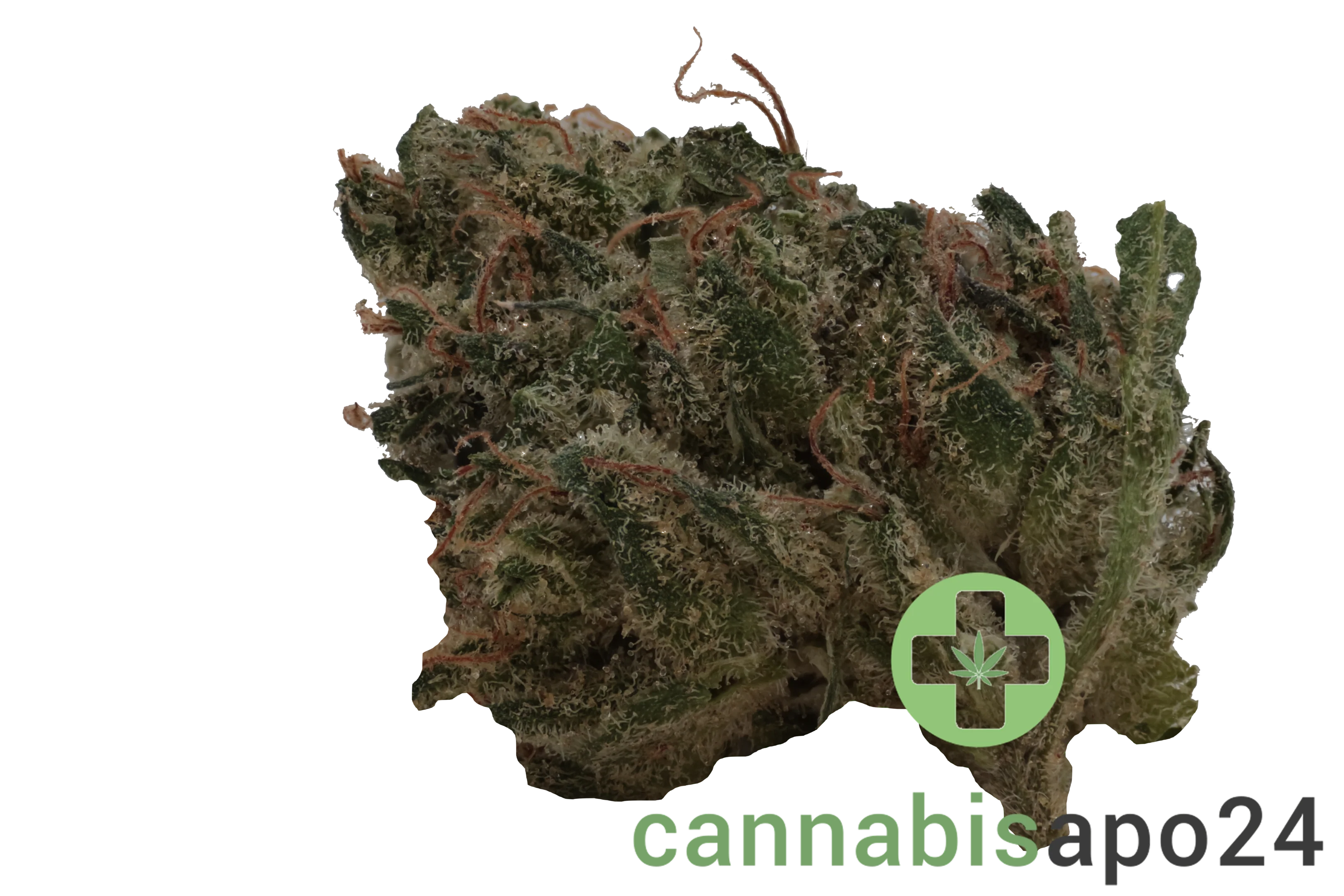 Cannamedical Balanced Ultra AU Libras