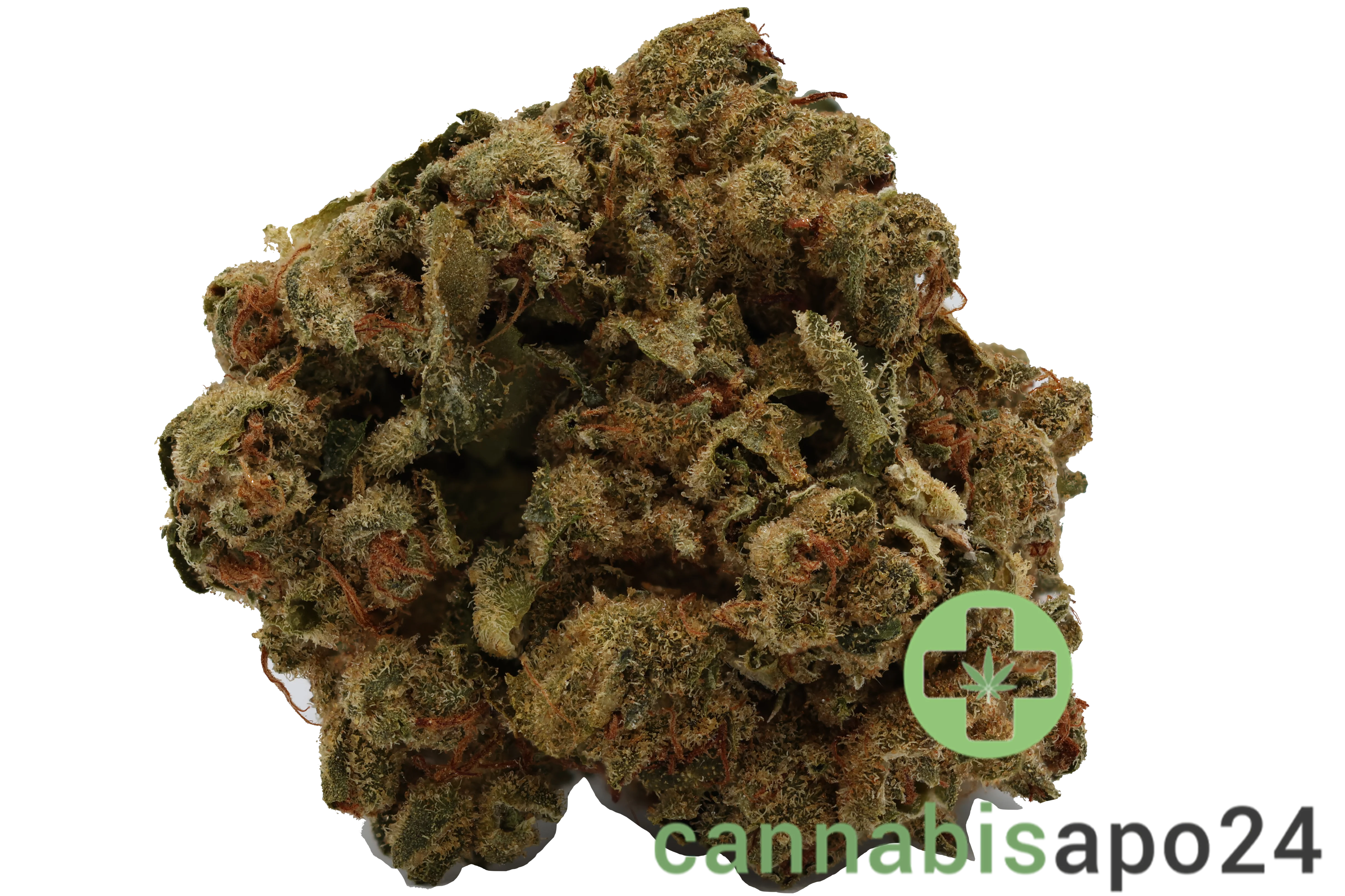 Cannamedical CM 24/1 LLY