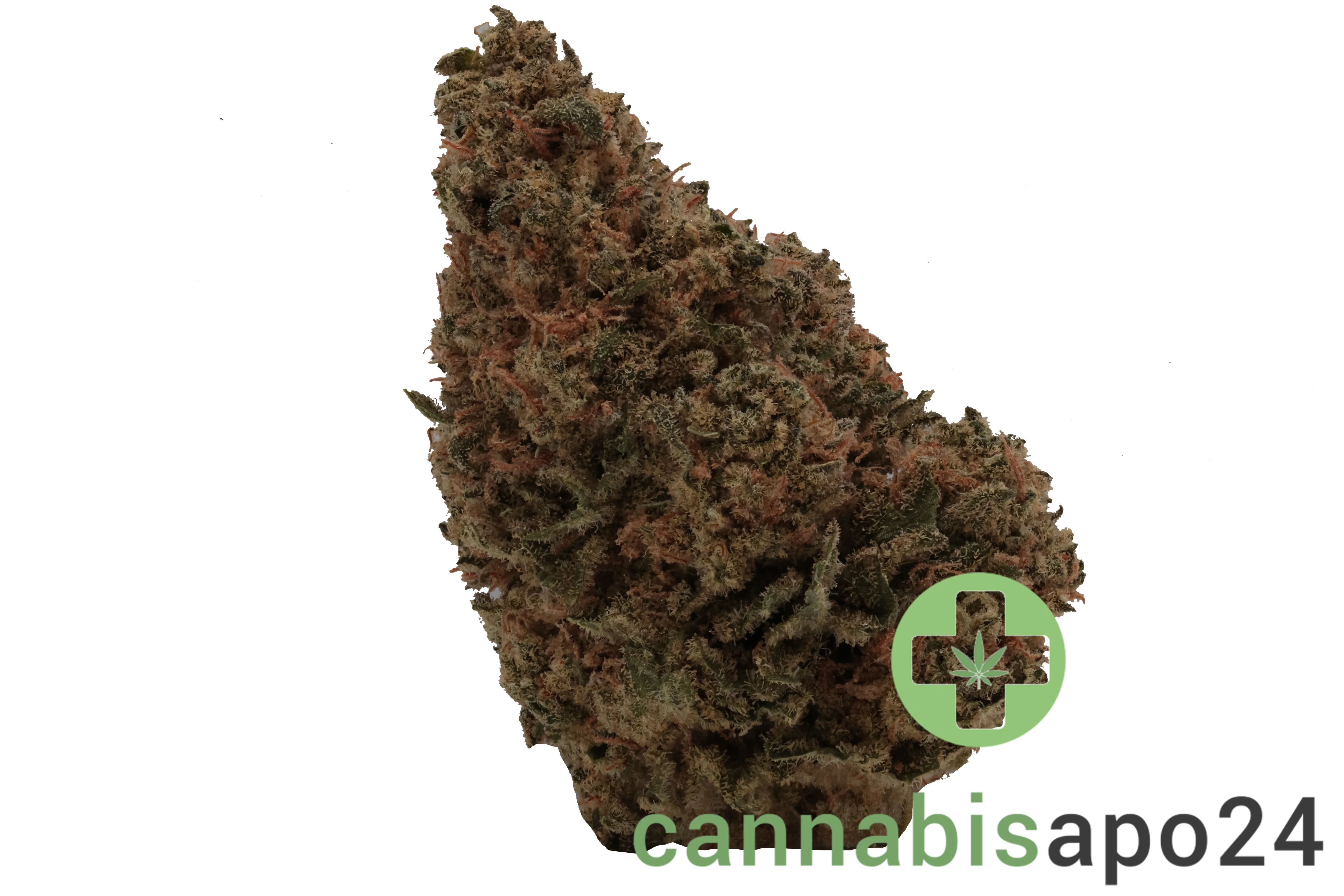 Cannamedical Hybrid classic NM - Blueberry Headband
