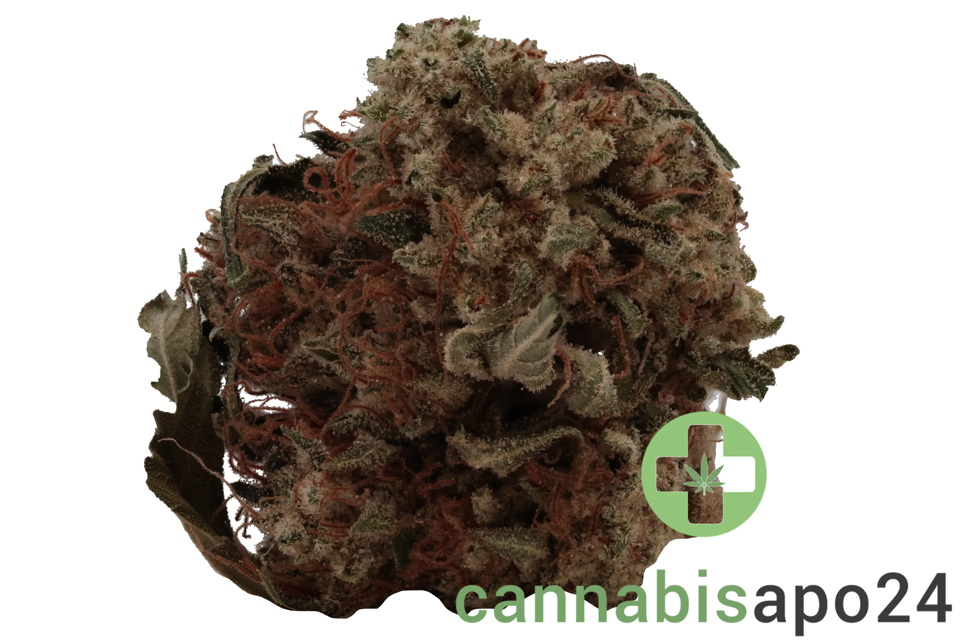 Cannamedical Hybrid classic DK Ghost Train Haze