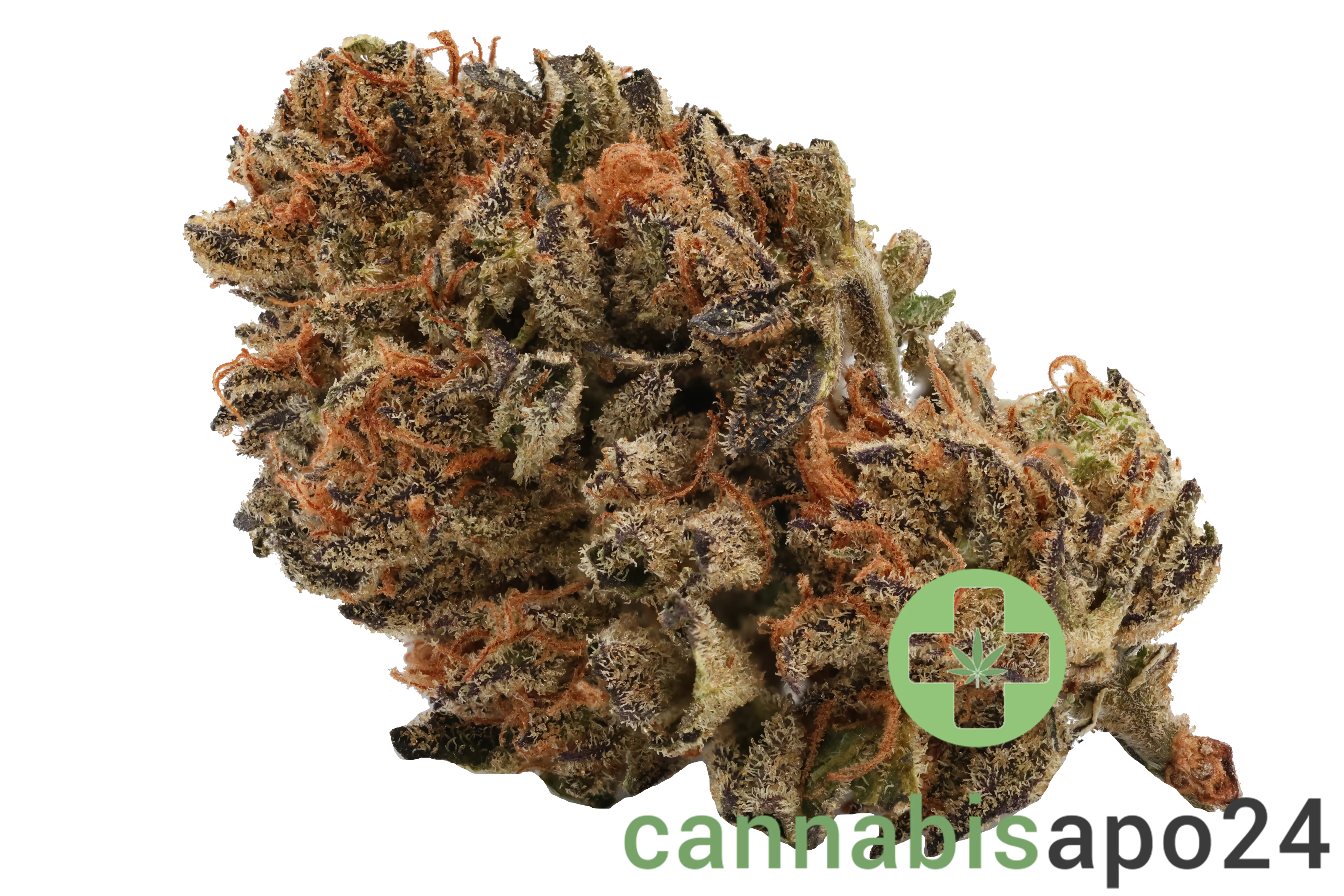 Cannamedical Hybrid Classic NG