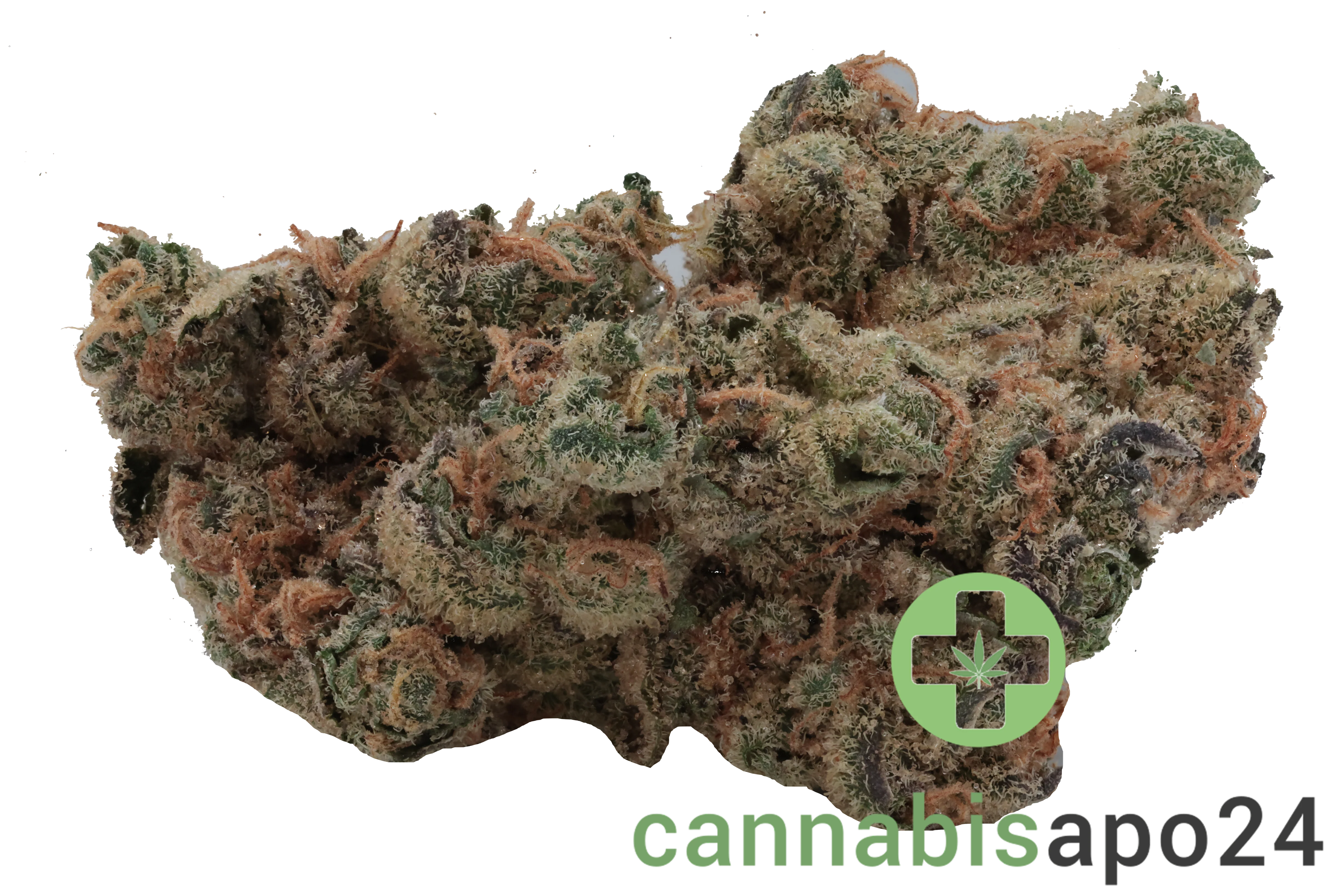 Cannamedical Hybrid forte BC Garlic Truffle