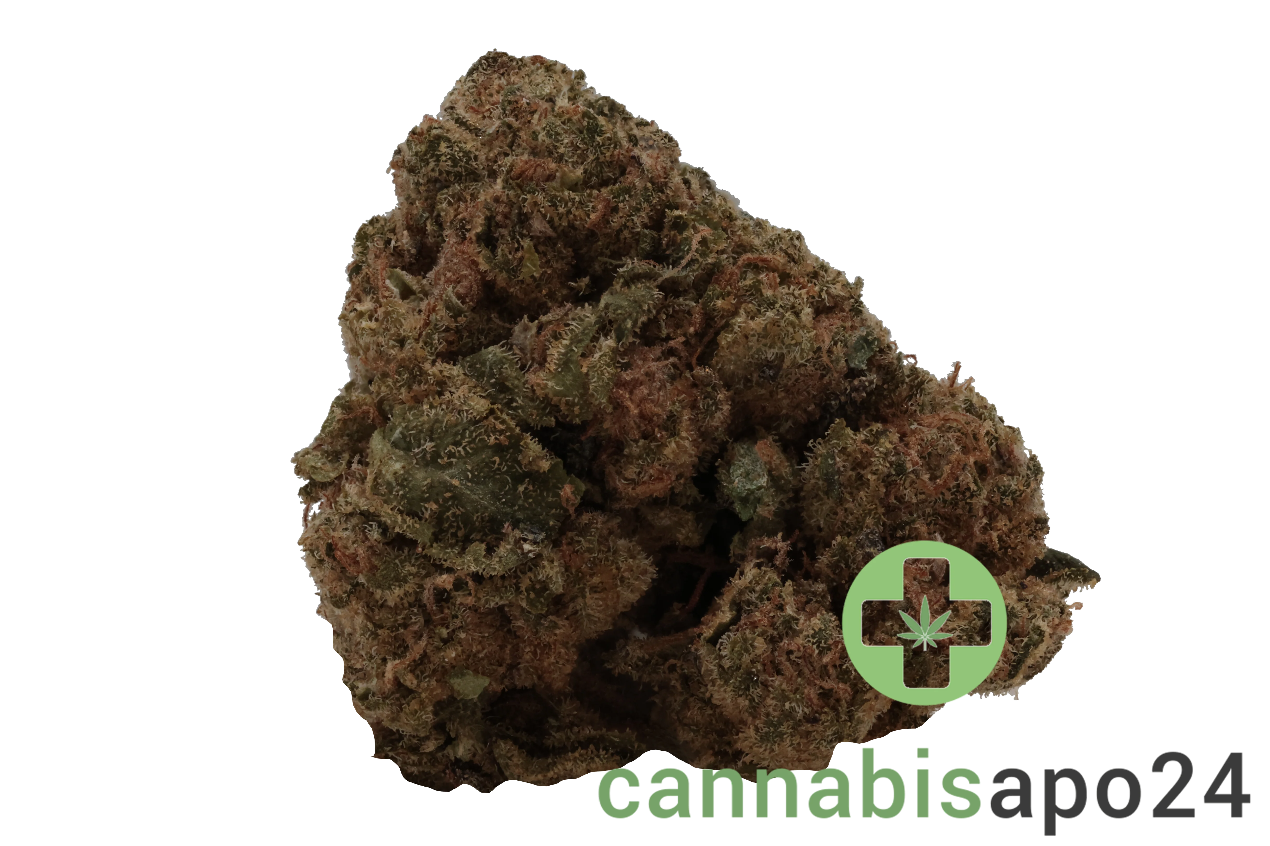 Cannamedical Hybrid forte BC Lemon Cookie