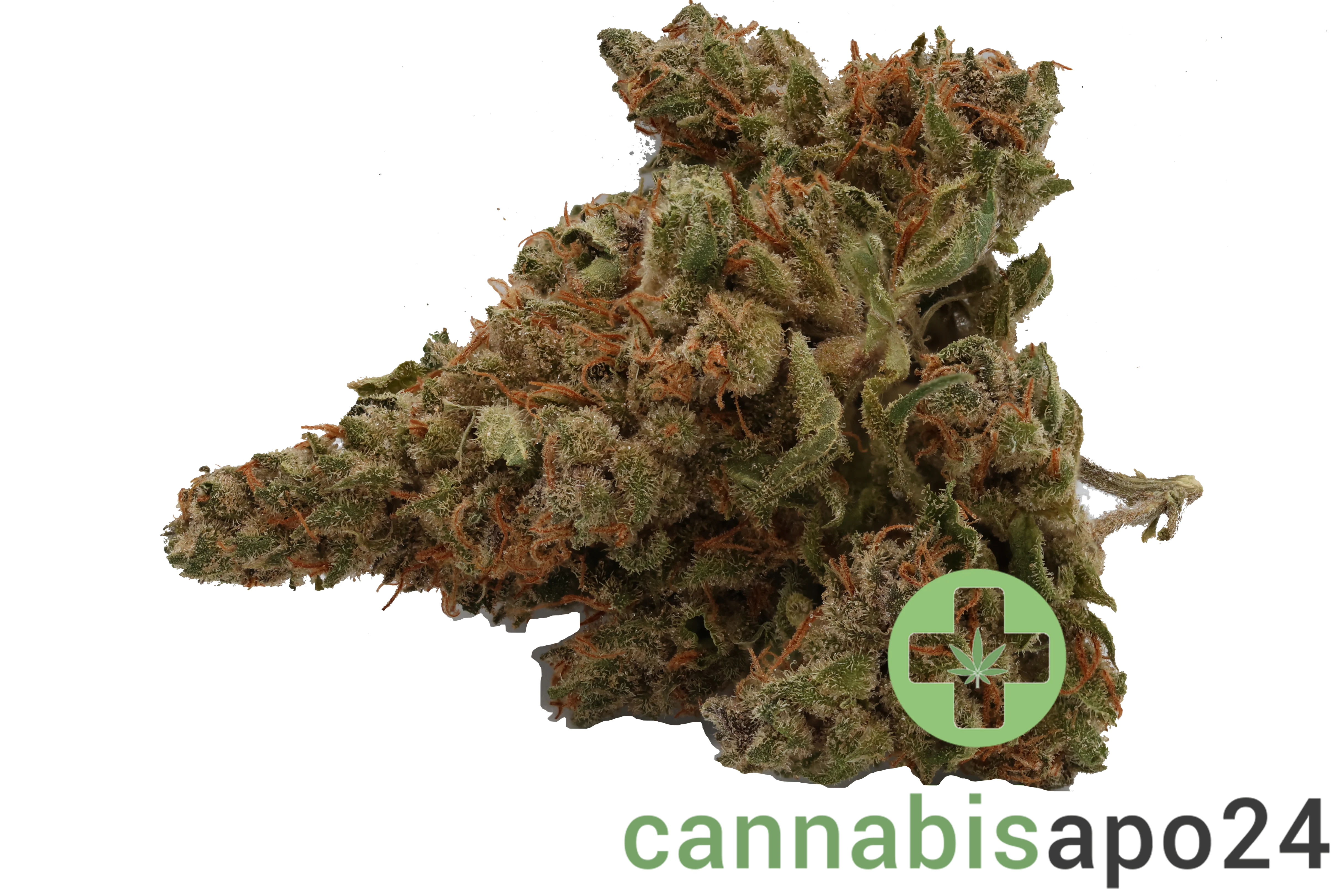 Cannamedical Hybrid forte - DK