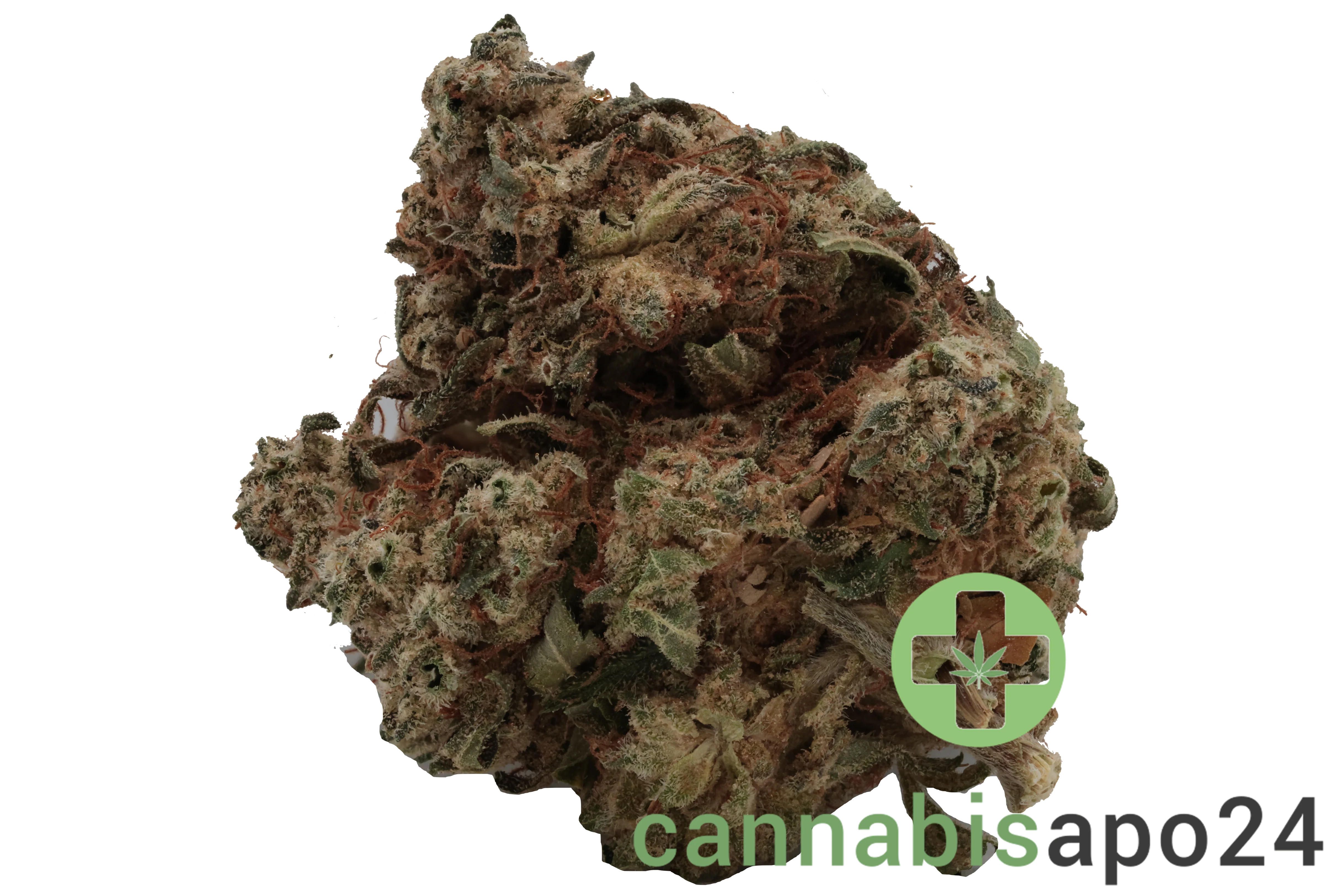 Cannamedical Hybrid forte DK - Ghost Train Haze