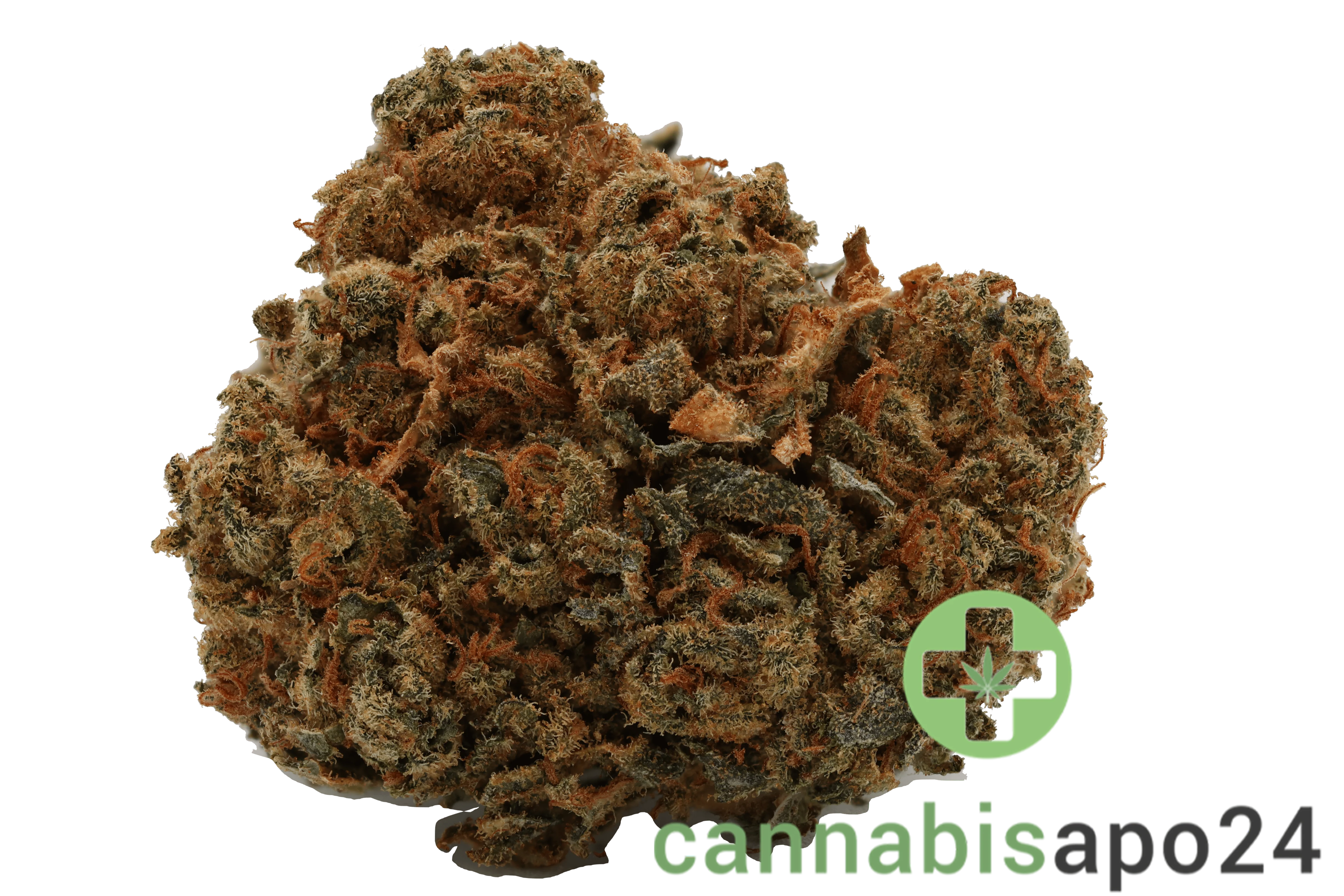 Cannamedical Hybrid forte - Gorilla Mints