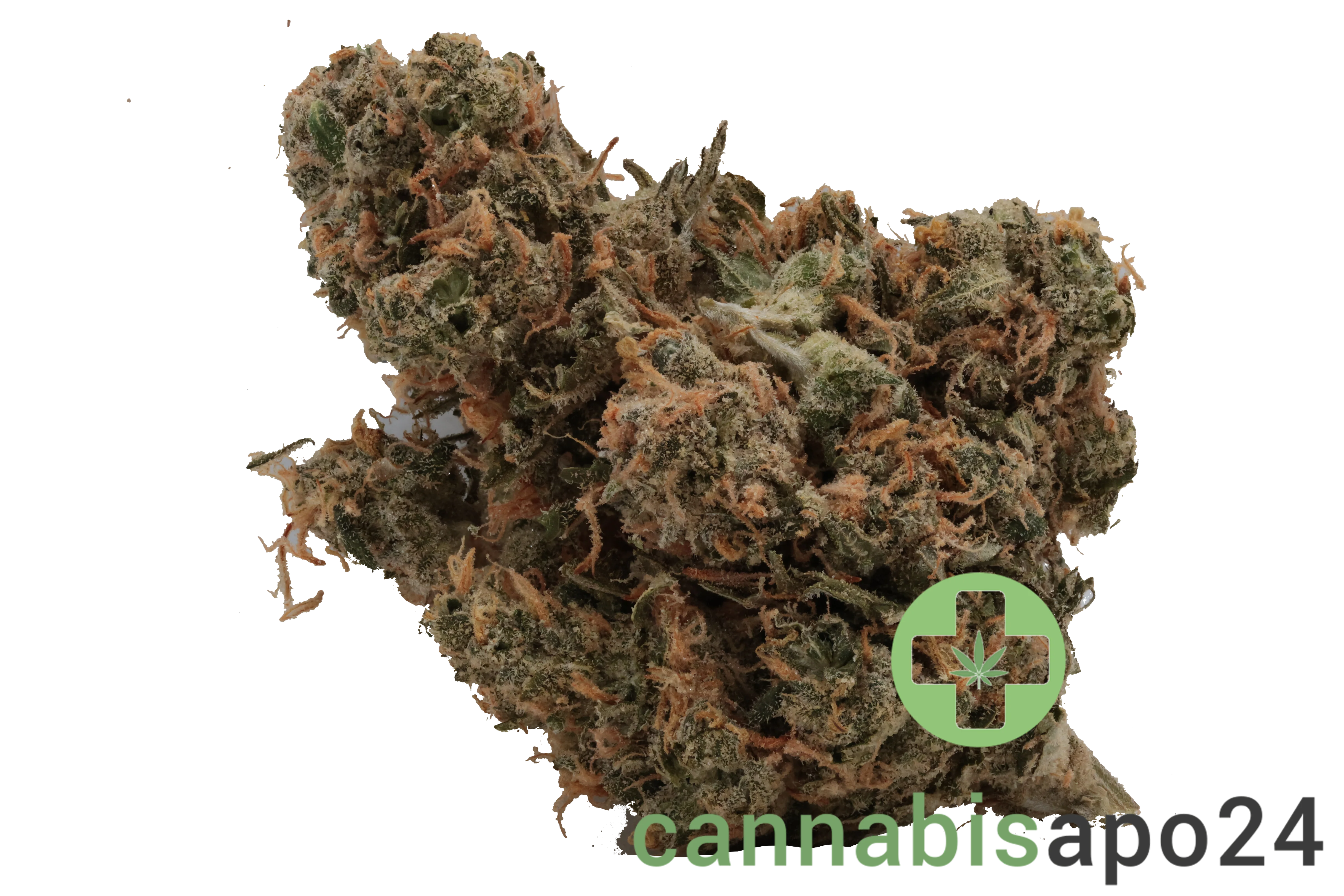 Cannamedical Hybrid forte NM Rainbow Jungle