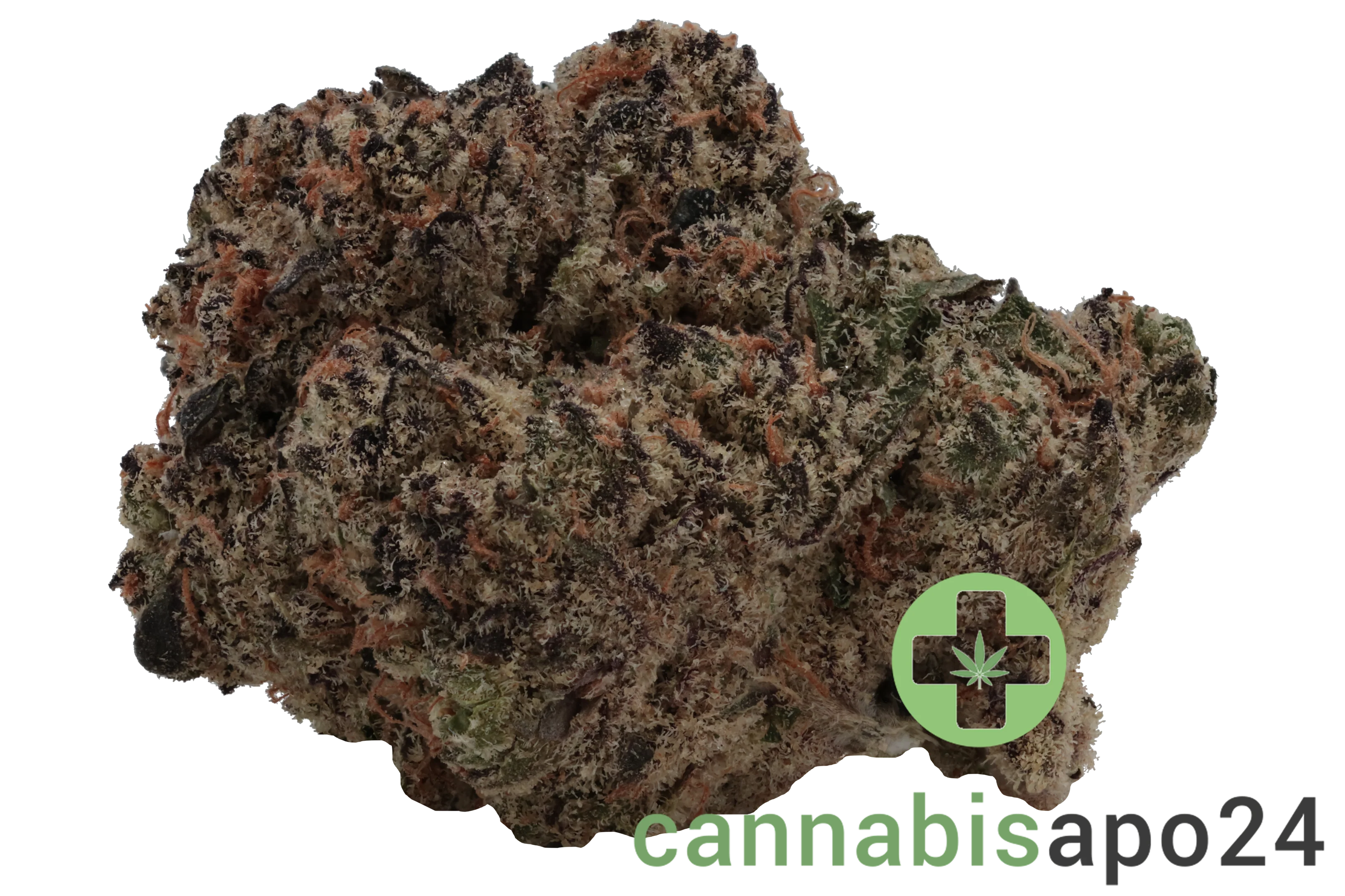 Cannamedical Hybrid Forte SA Blunicorn