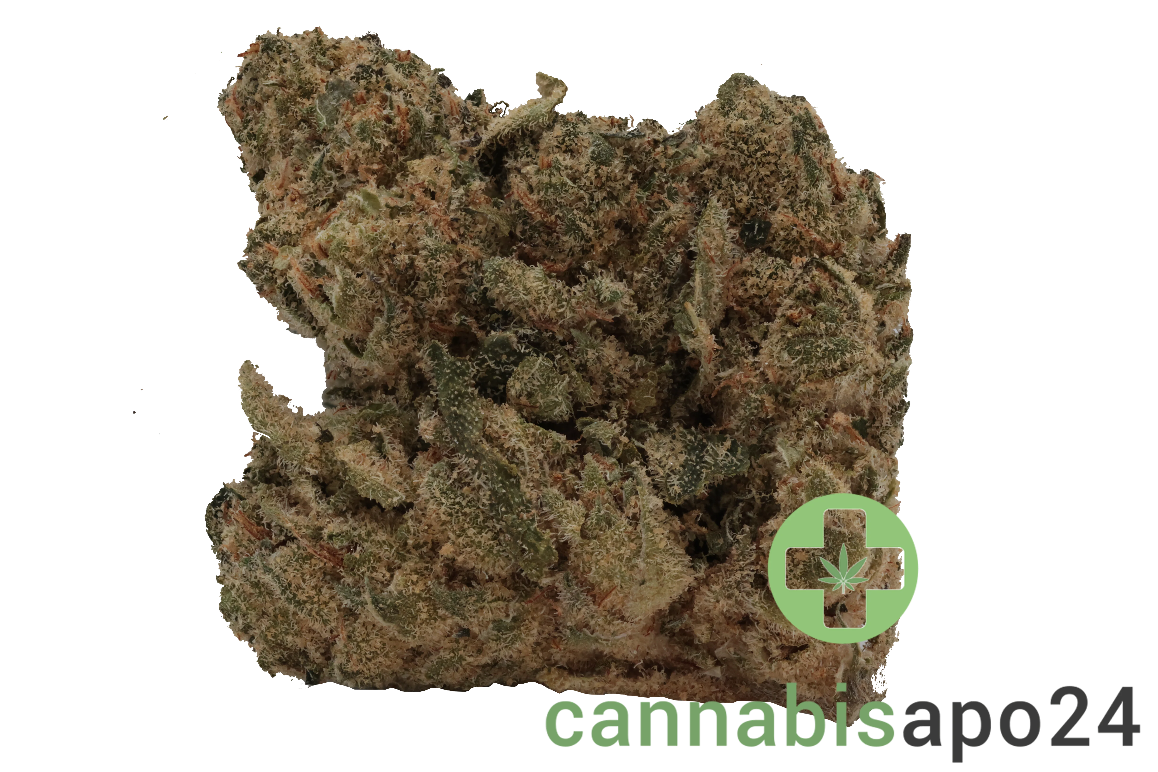 Cannamedical Hybrid forte URY
