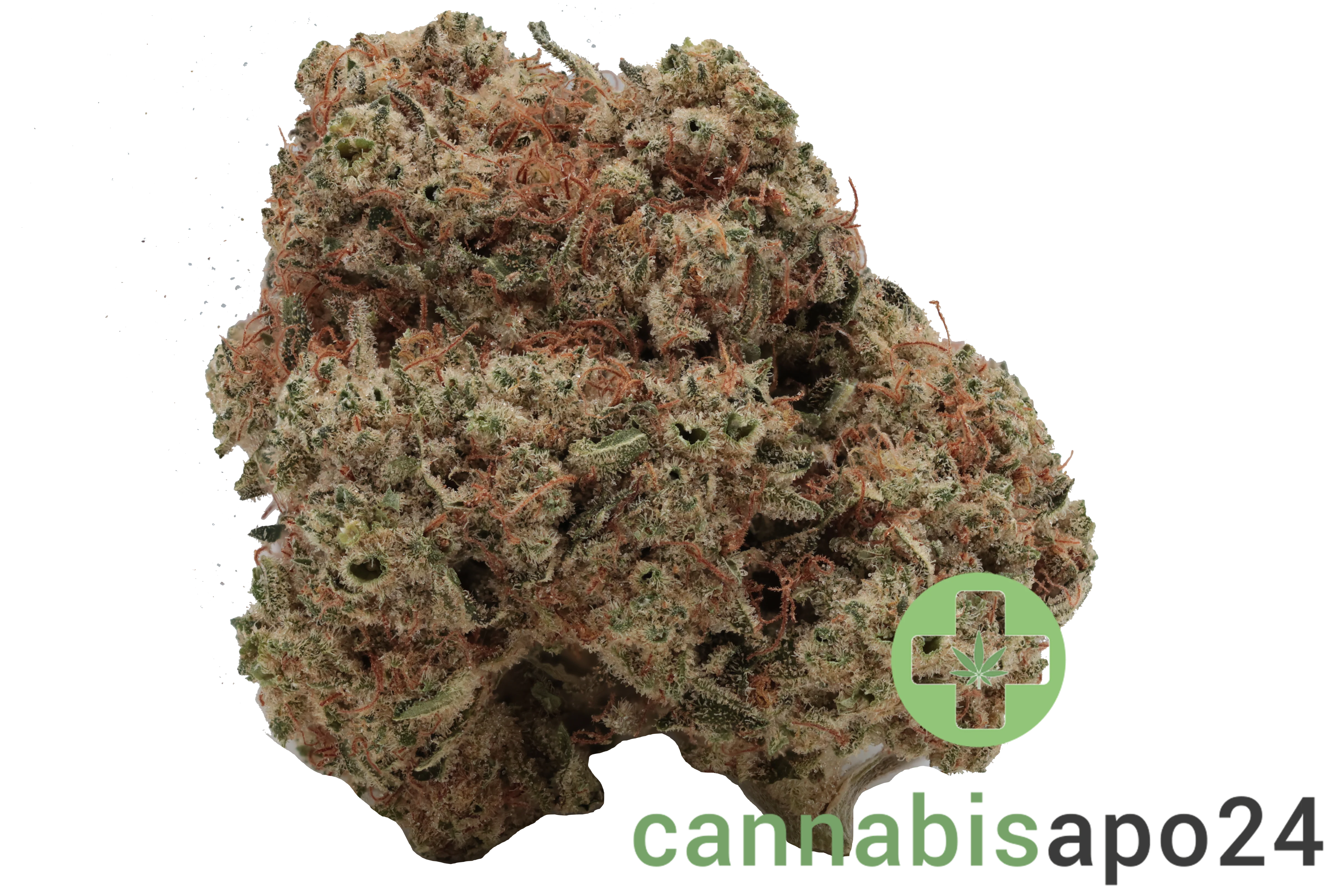 Cannamedical Hybrid Ultra DK - Ghost Train Haze