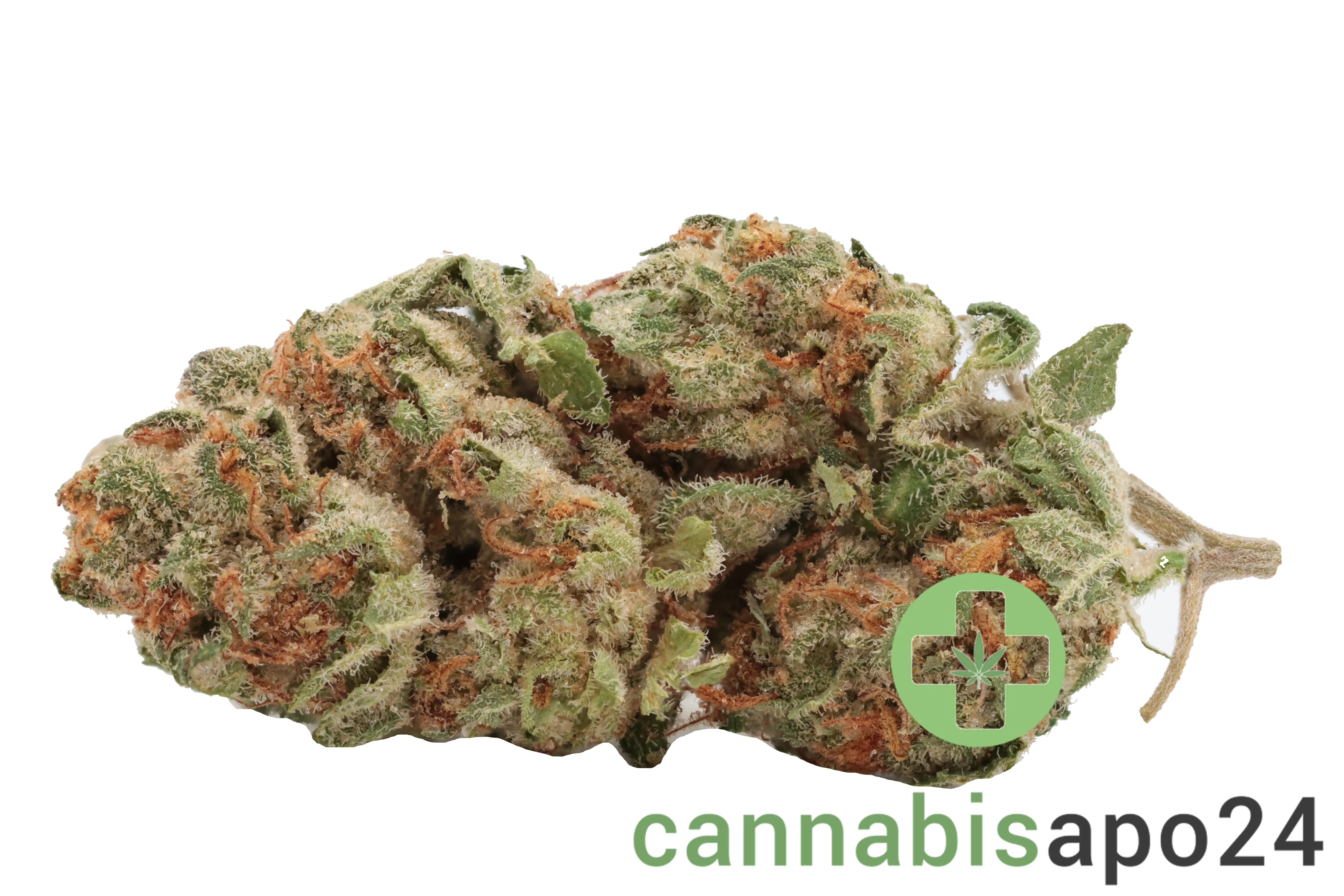 Cannamedical Hybrid Ultra NG - Jealousy