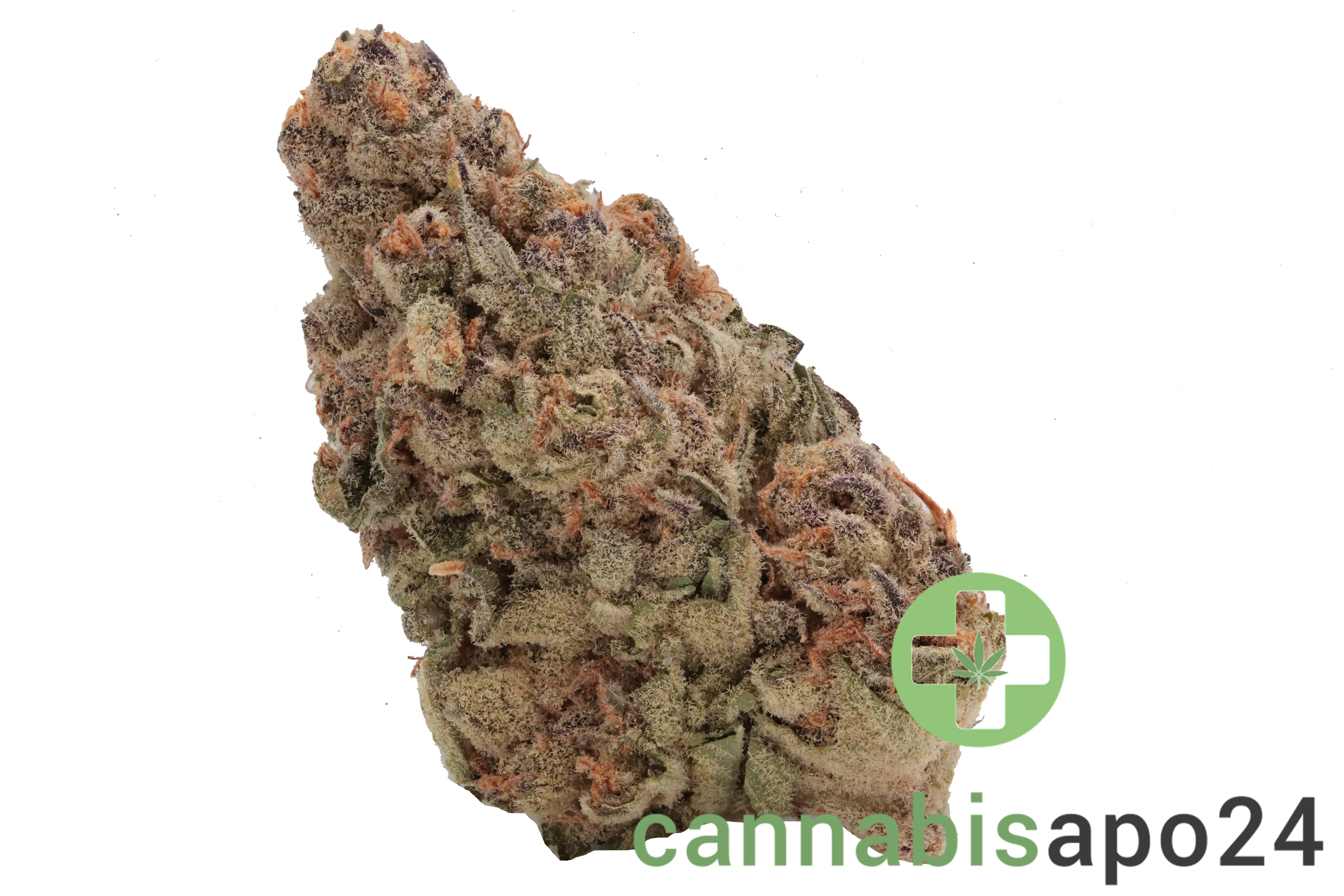 Cannamedical Indica classic ZAF Black Cherry Punch