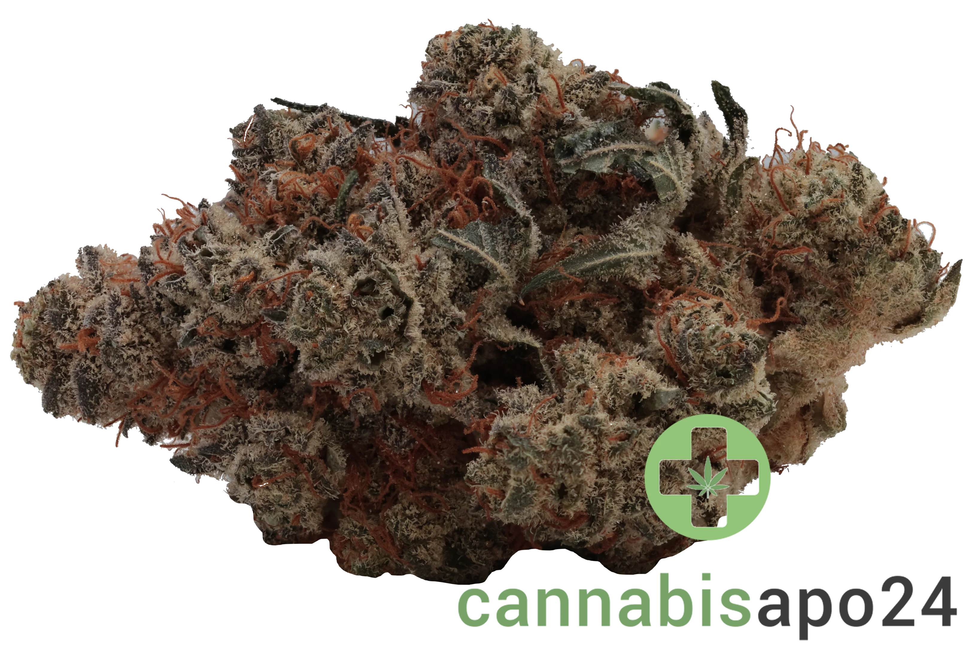Cannamedical Indica Forte DK Lemon Krash