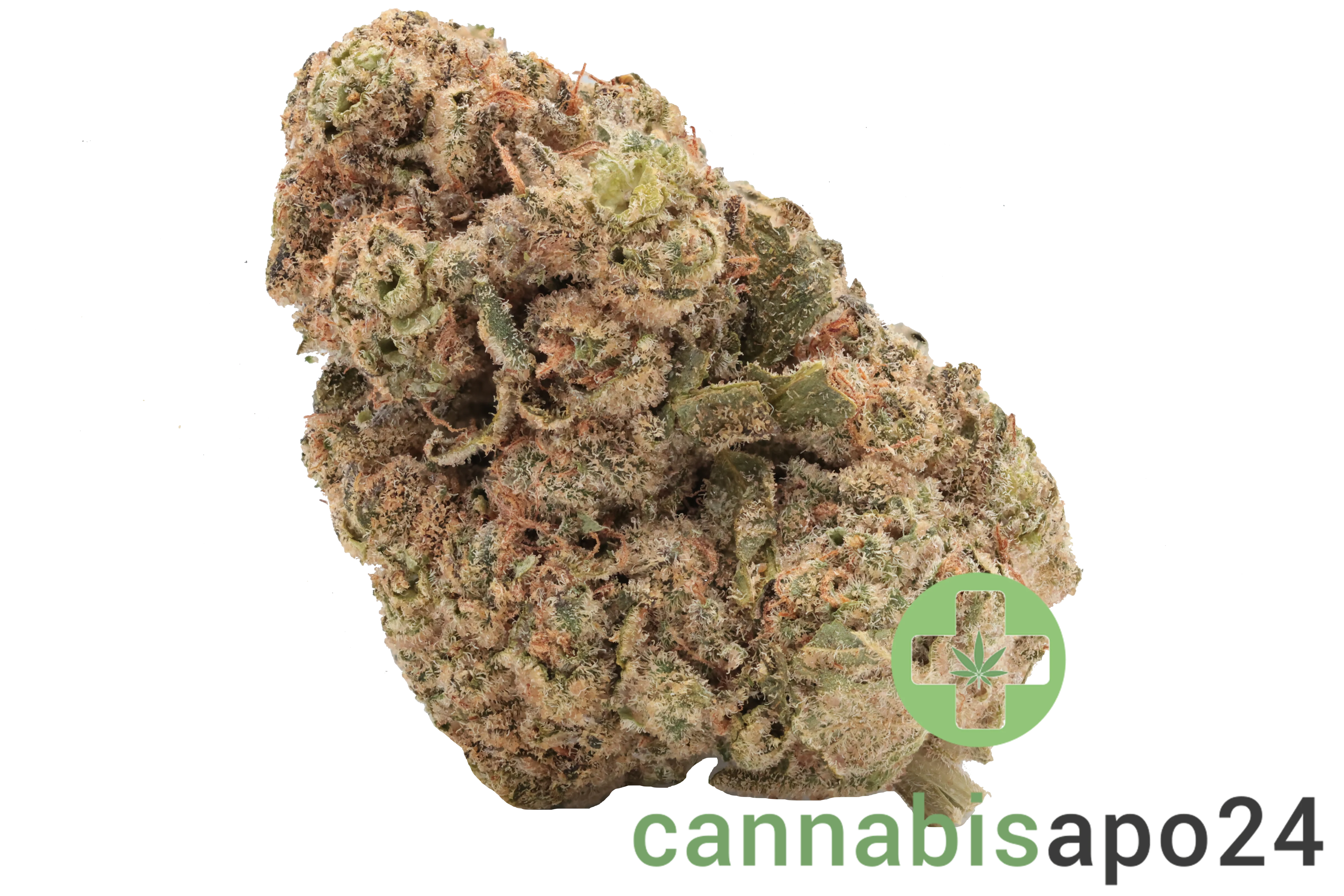 Cannamedical Indica forte MA - Carmelita