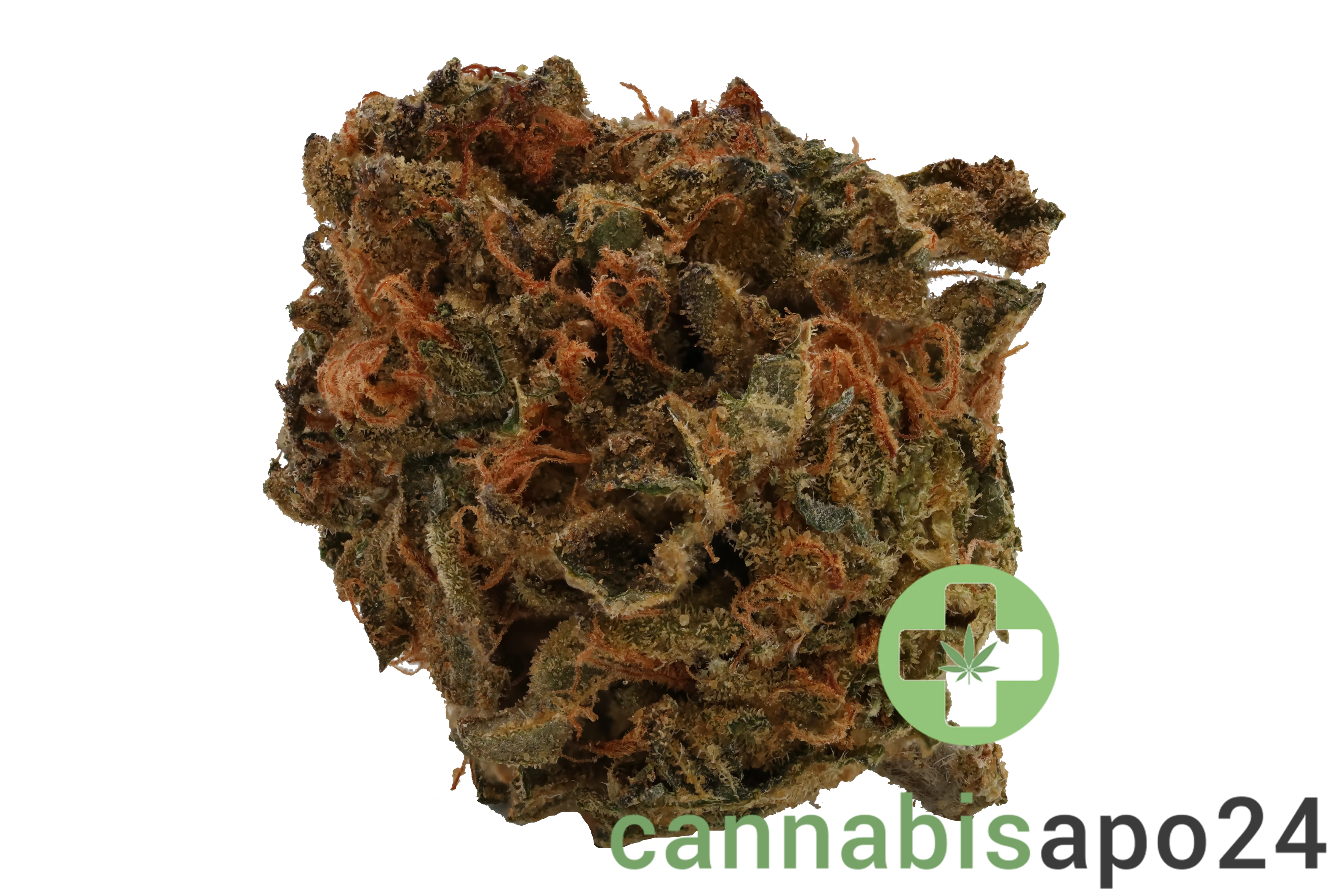 Cannamedical Indica forte MA - Crazy RNTZ