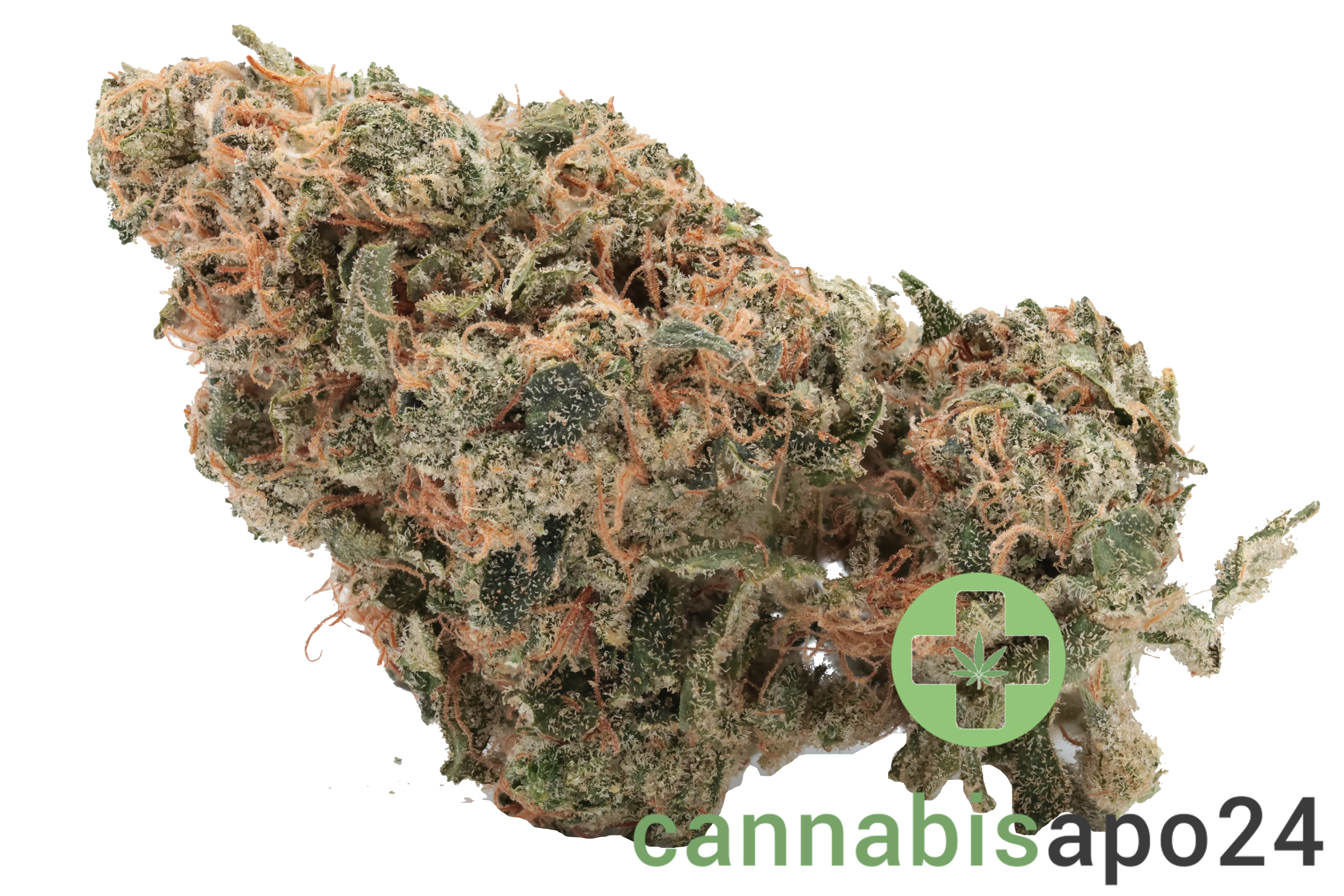 Cannamedical Indica forte NM - Kerosene Krash