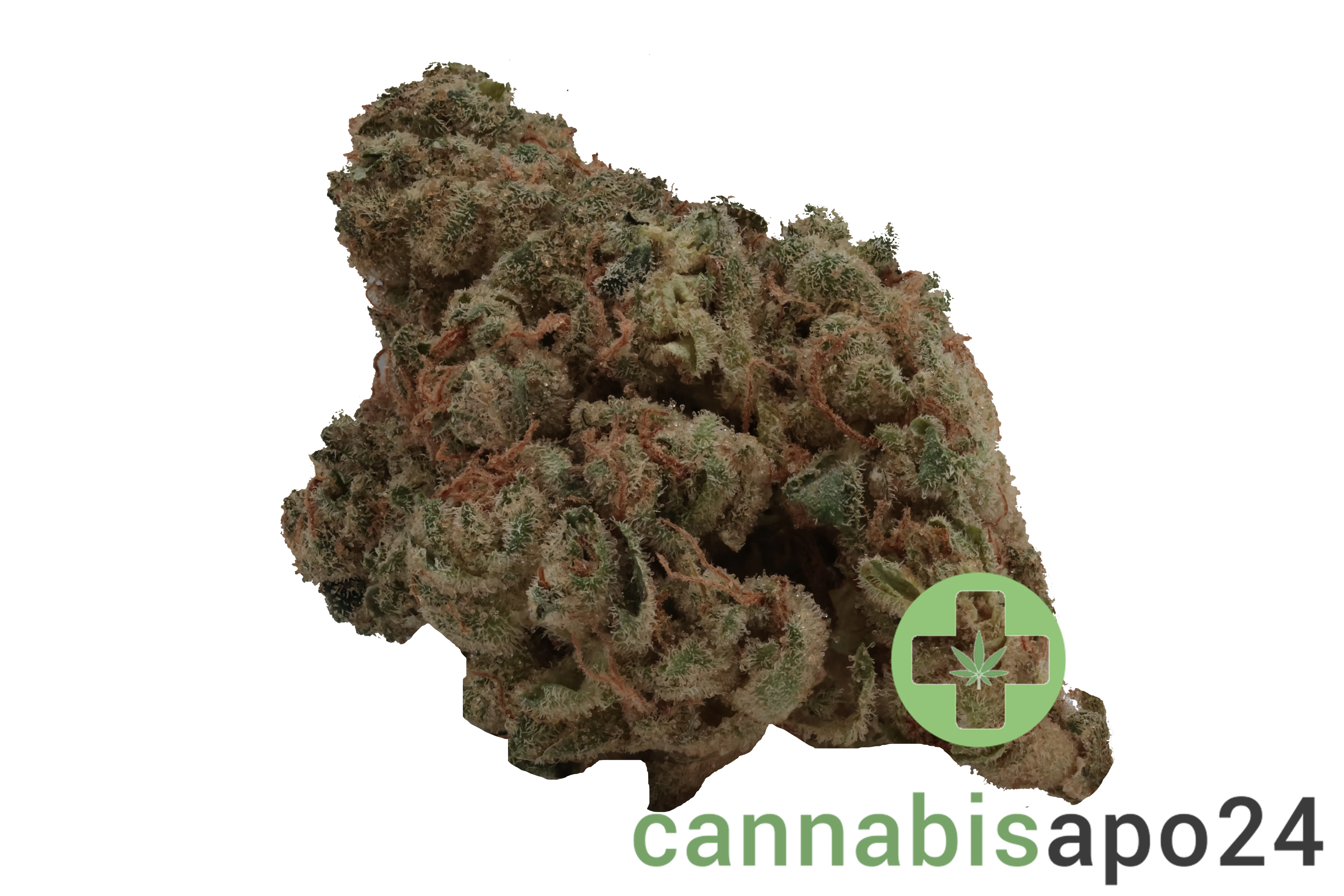 Cannamedical Indica ultra BC Grape Pie
