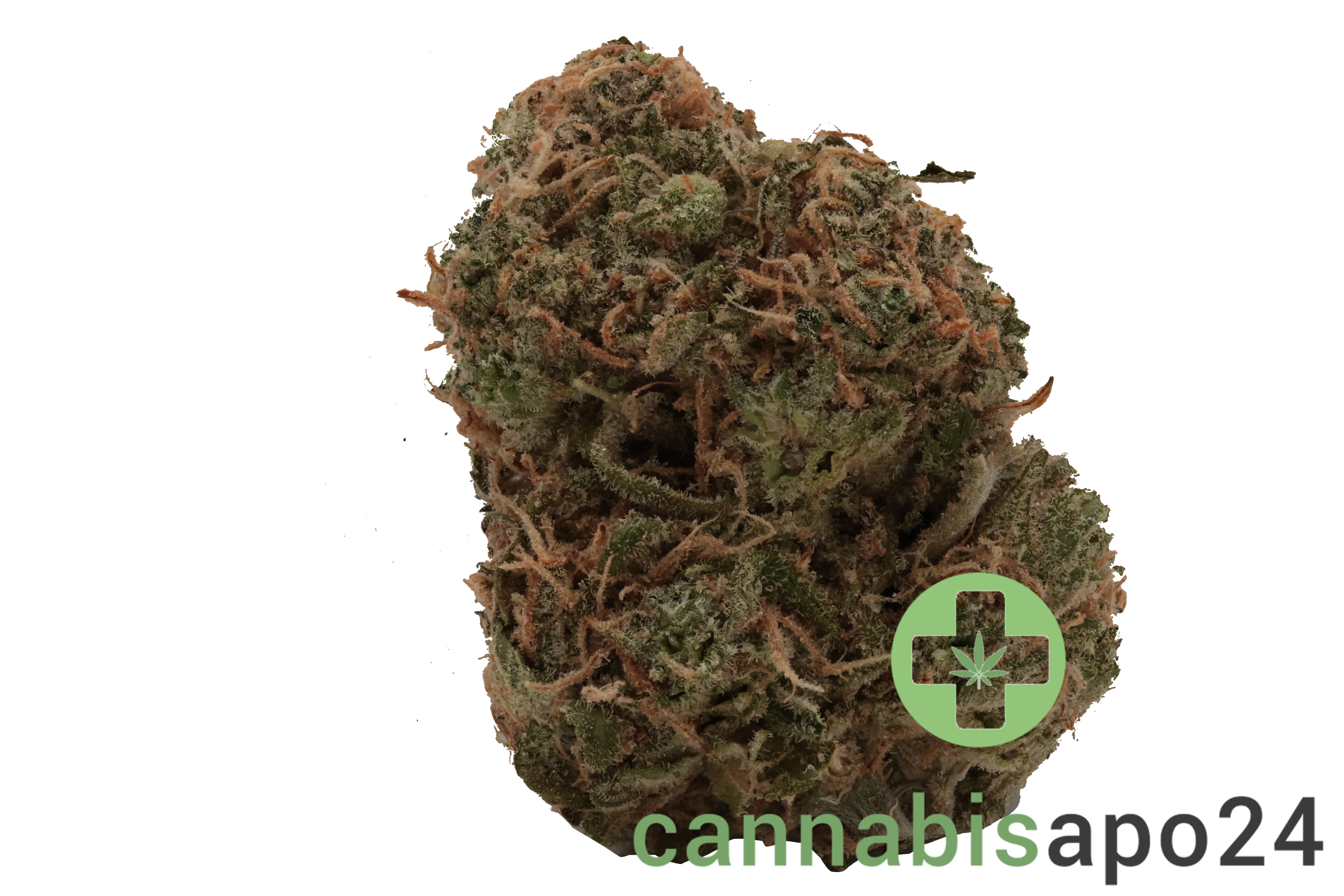 Cannamedical Sativa classic NM - Gelato Dream