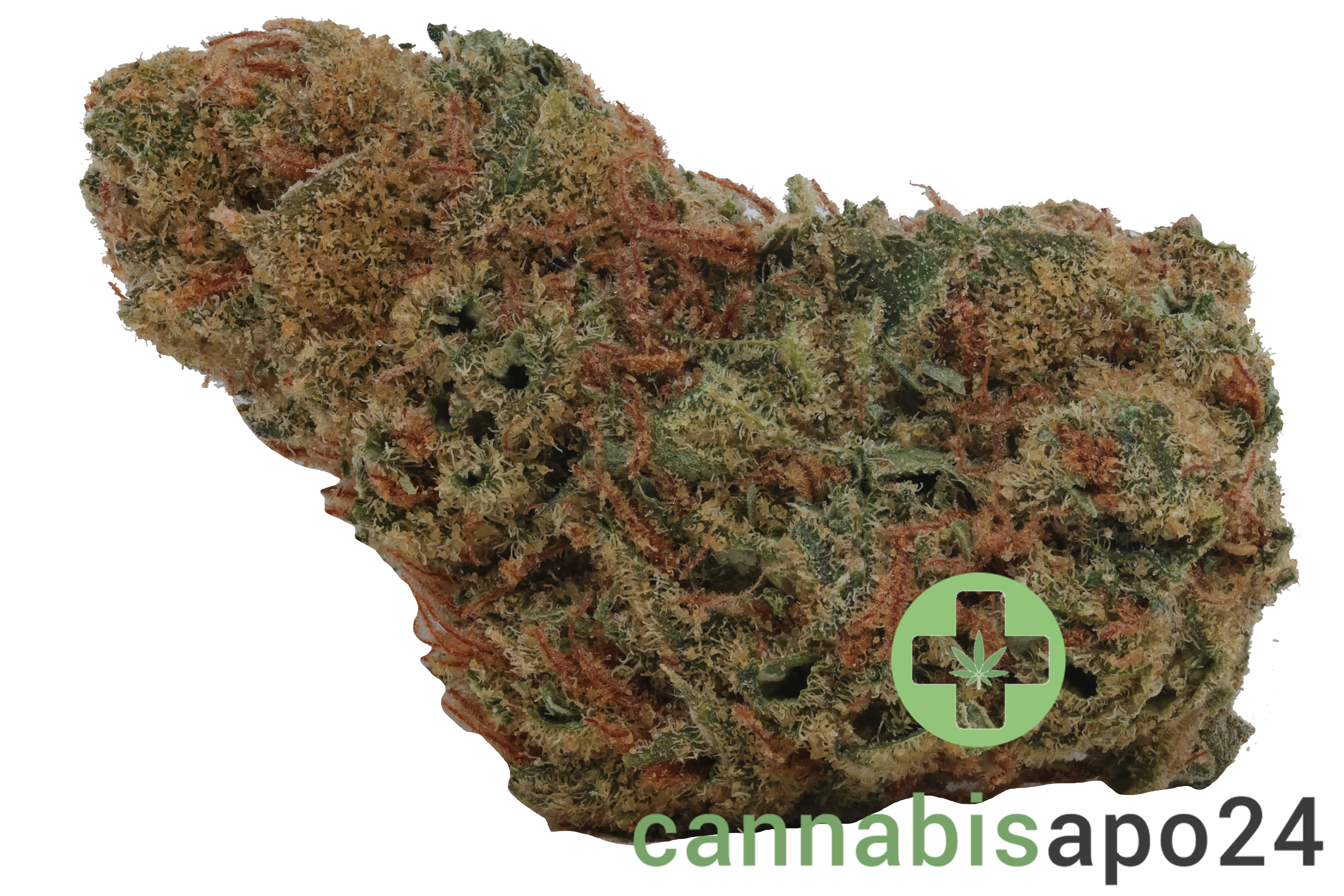 Cannamedical Sativa Classic SA Jack Herer