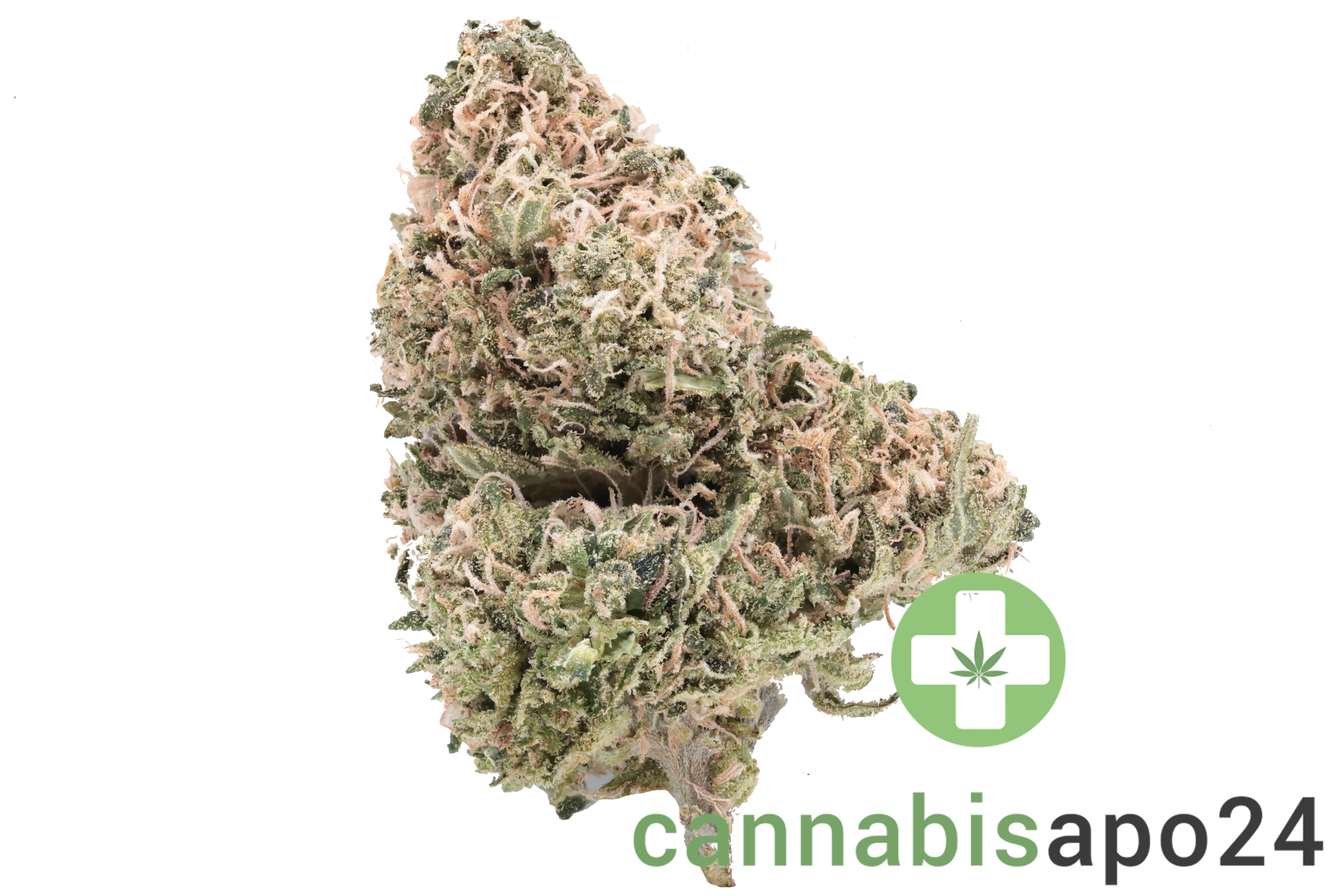 Cannamedical Sativa classic NM - Snowflake