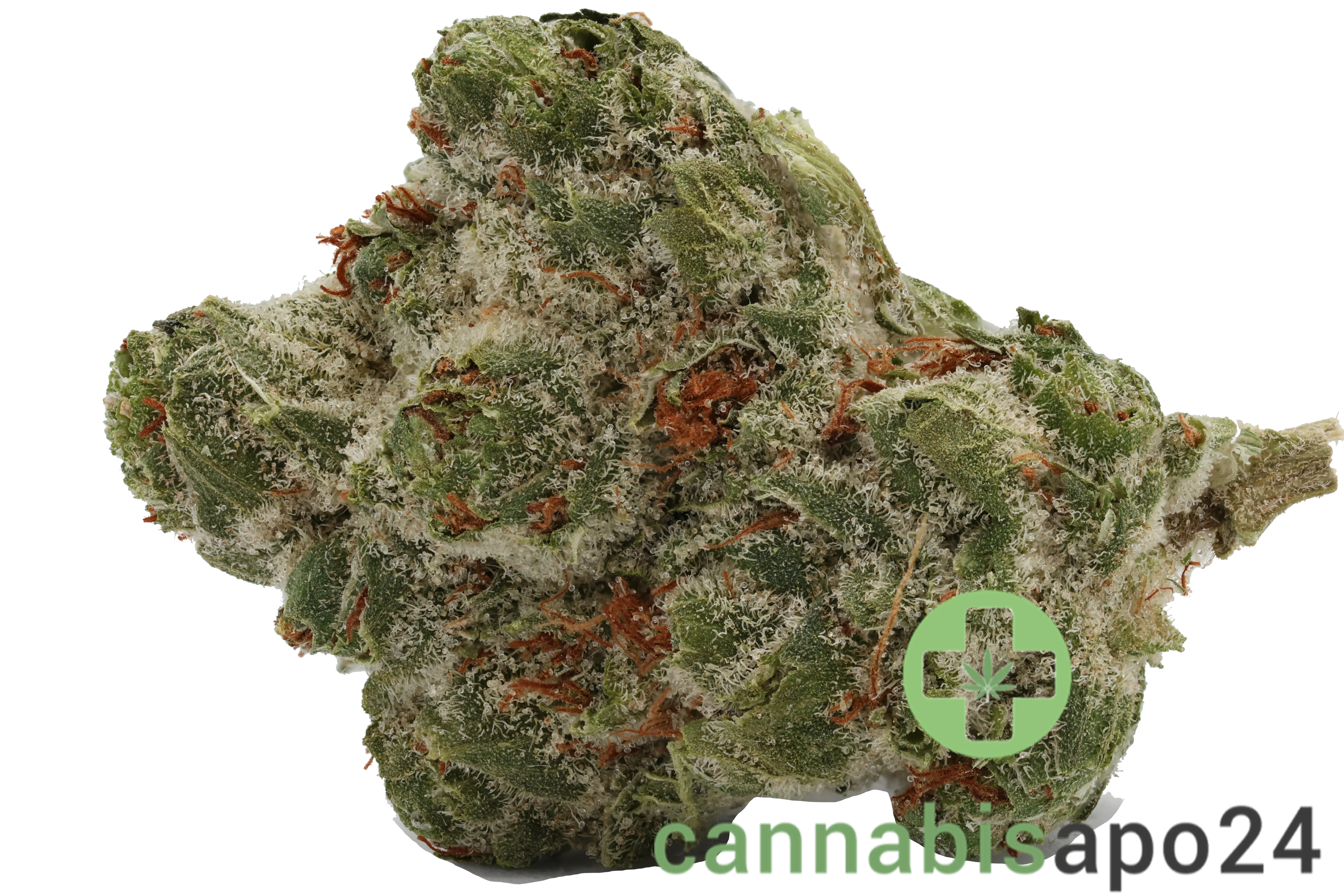 Cannamedical Sativa forte Duke