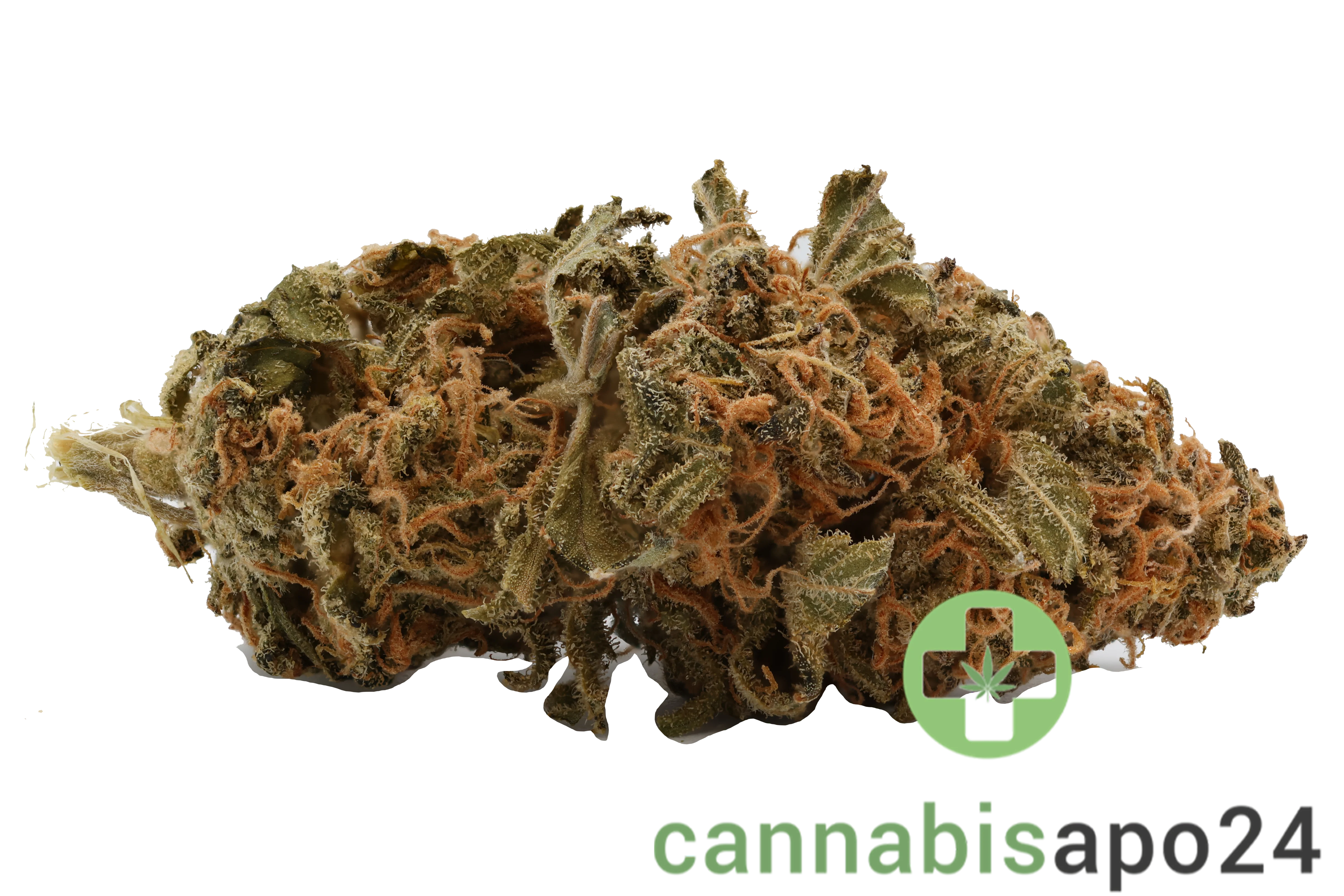 Cannamedical Sativa Forte NM - Gelato Dream