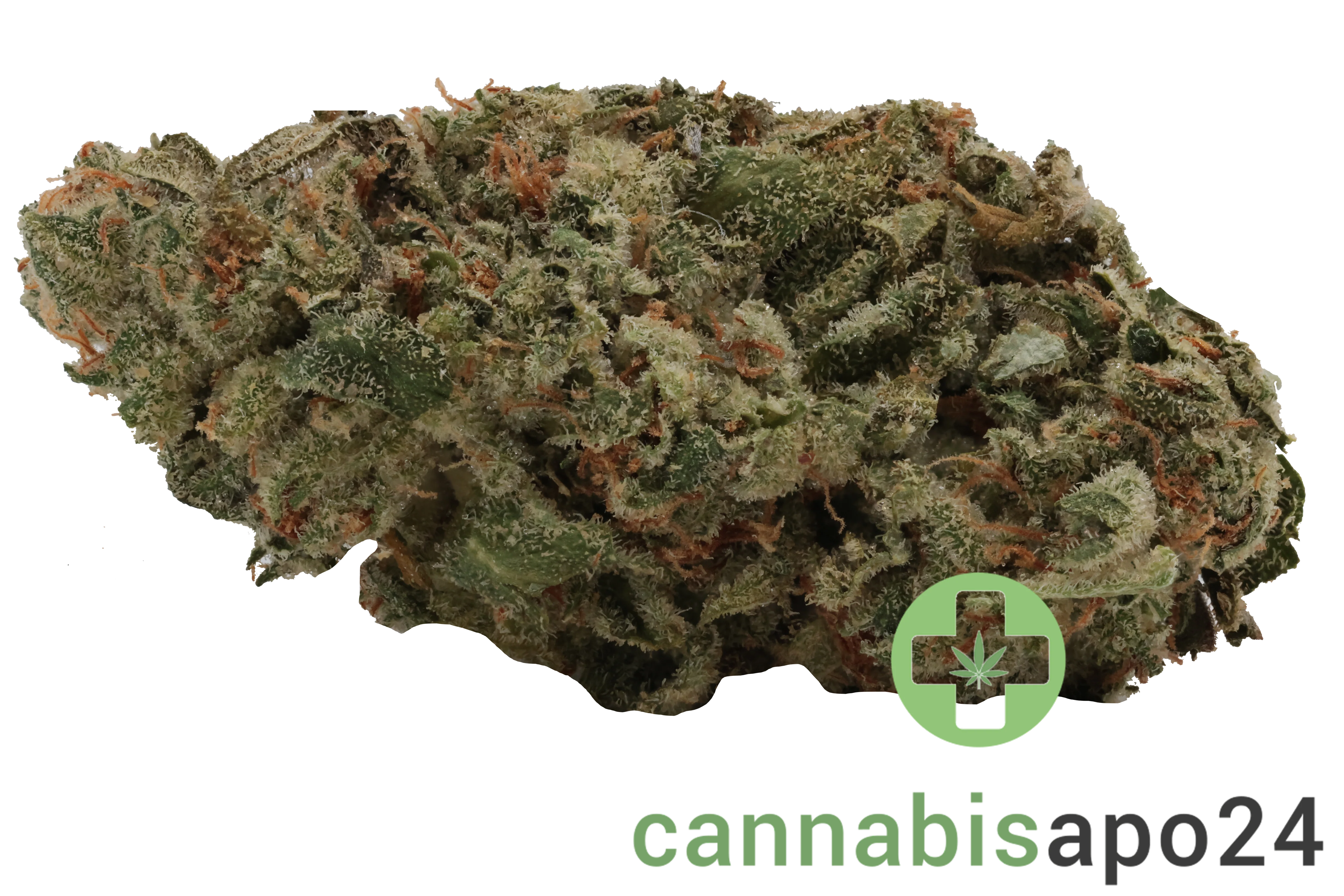 Cannamedical Sativa forte NM Amsterdam Amnesia