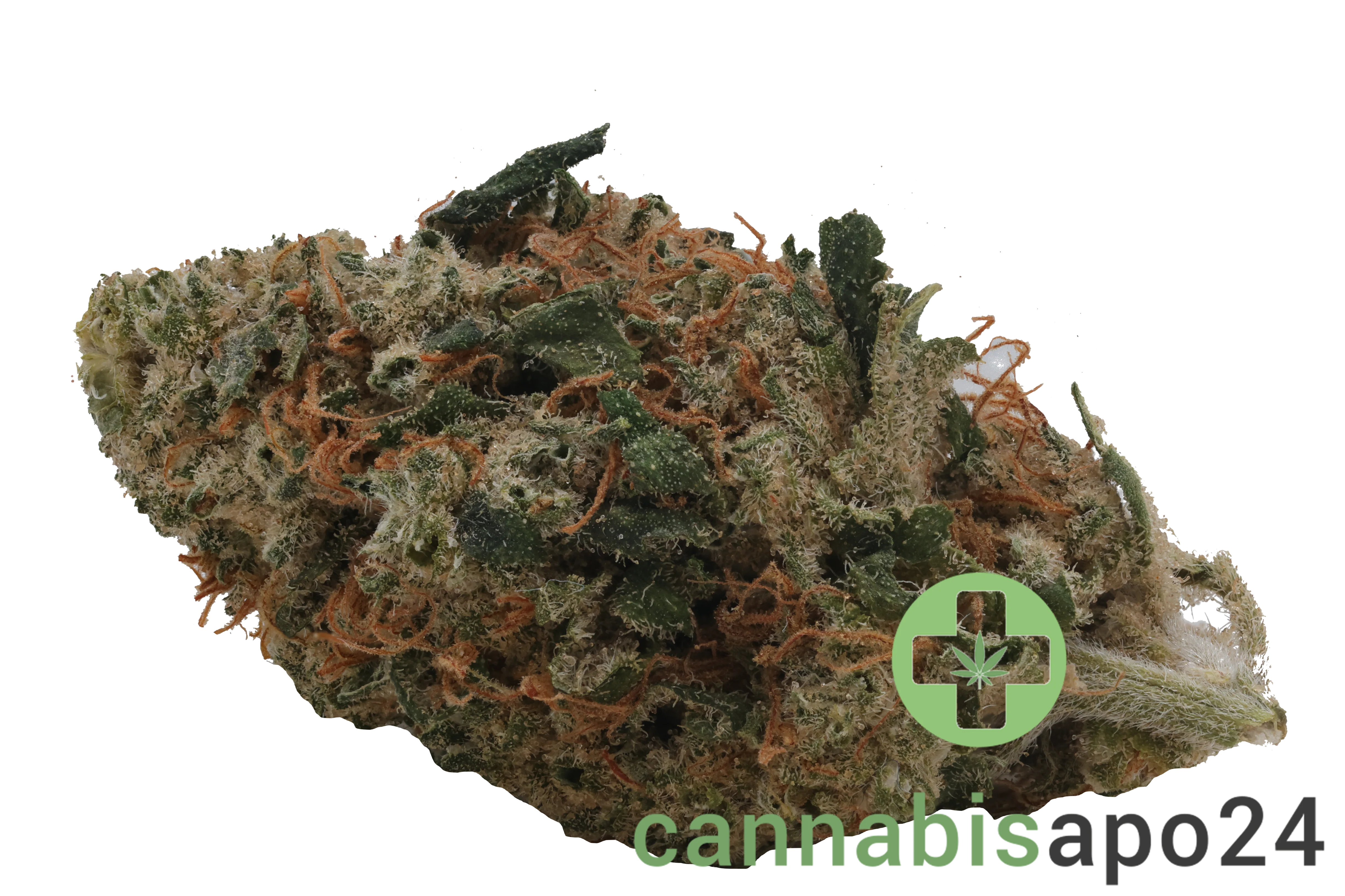 Cannamedical Sativa Forte DK Super Lemon Haze