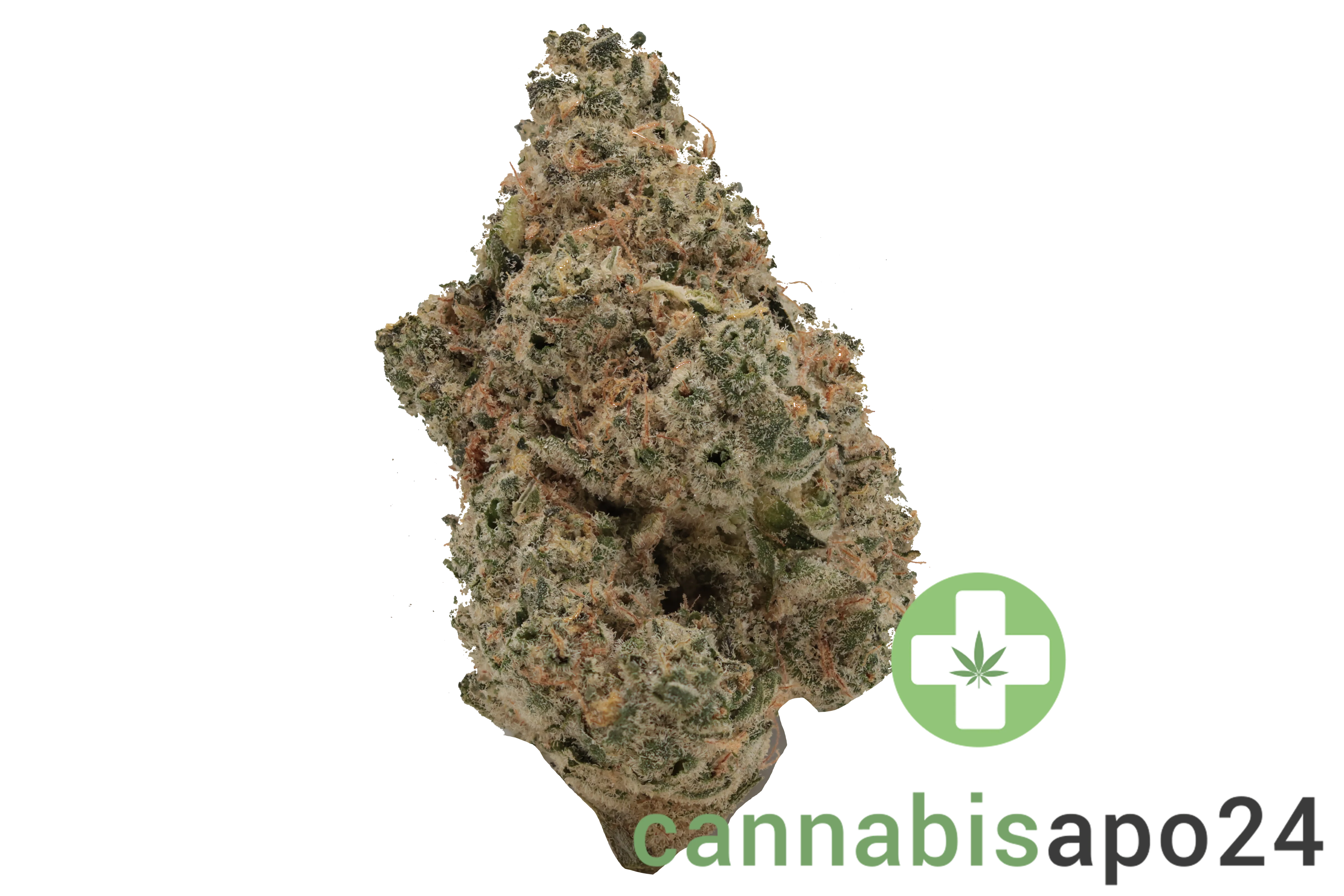 Cannamedical Sativa Ultra NM - Polar Cookies