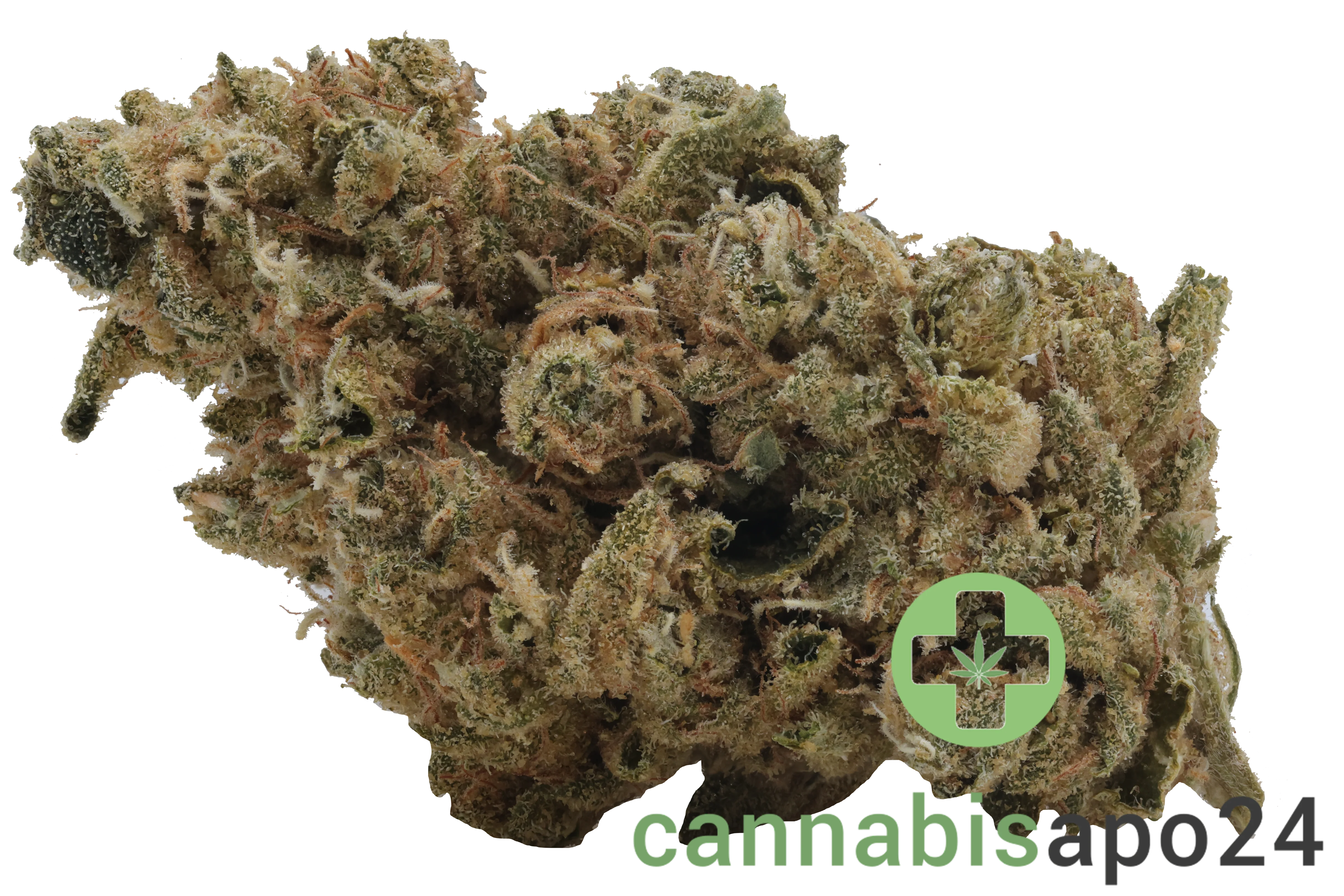 CannGo 26/1 WG Vegas Wedding Cake