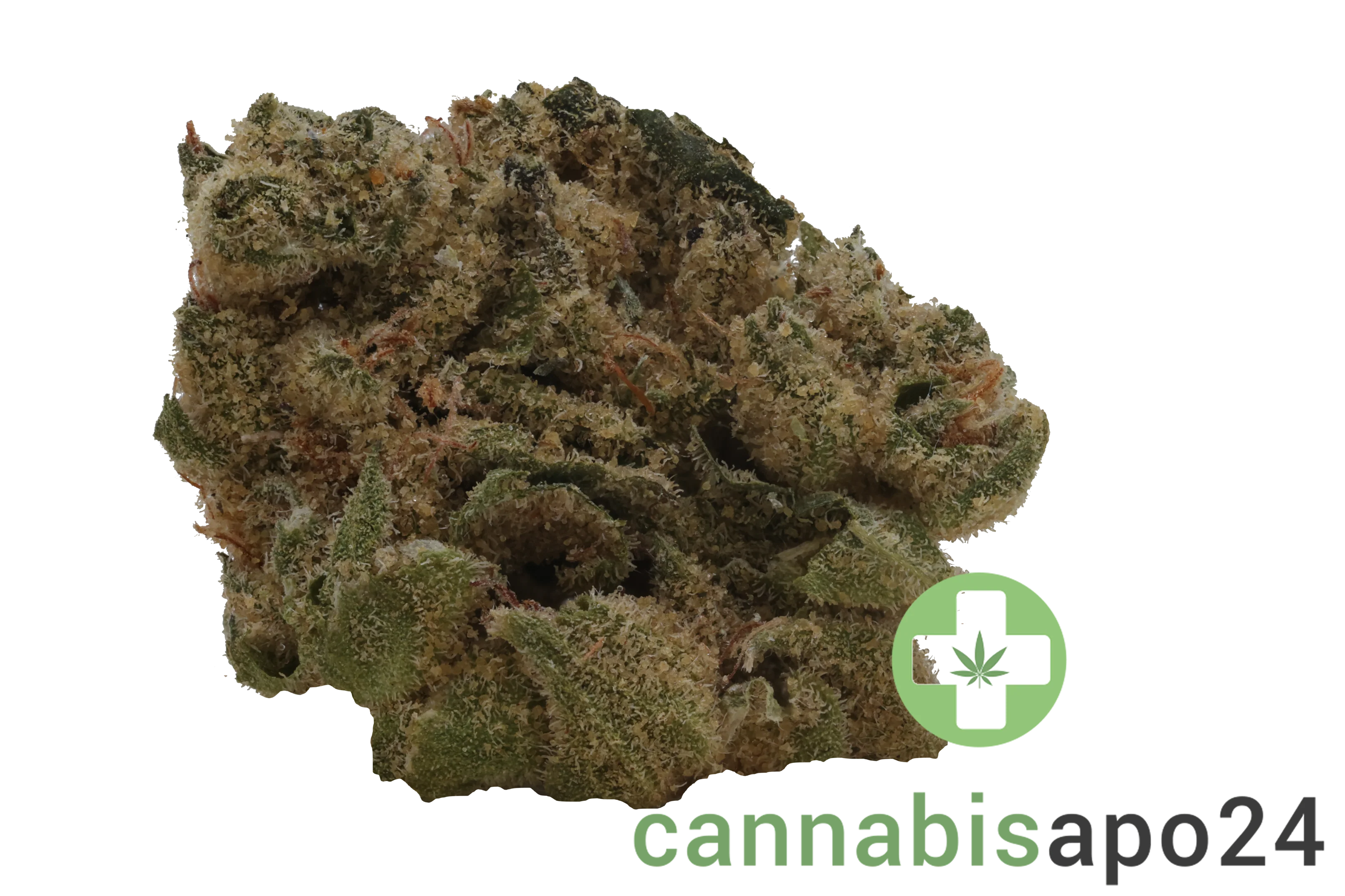 CannGo 32/1 CR Diesel Chem