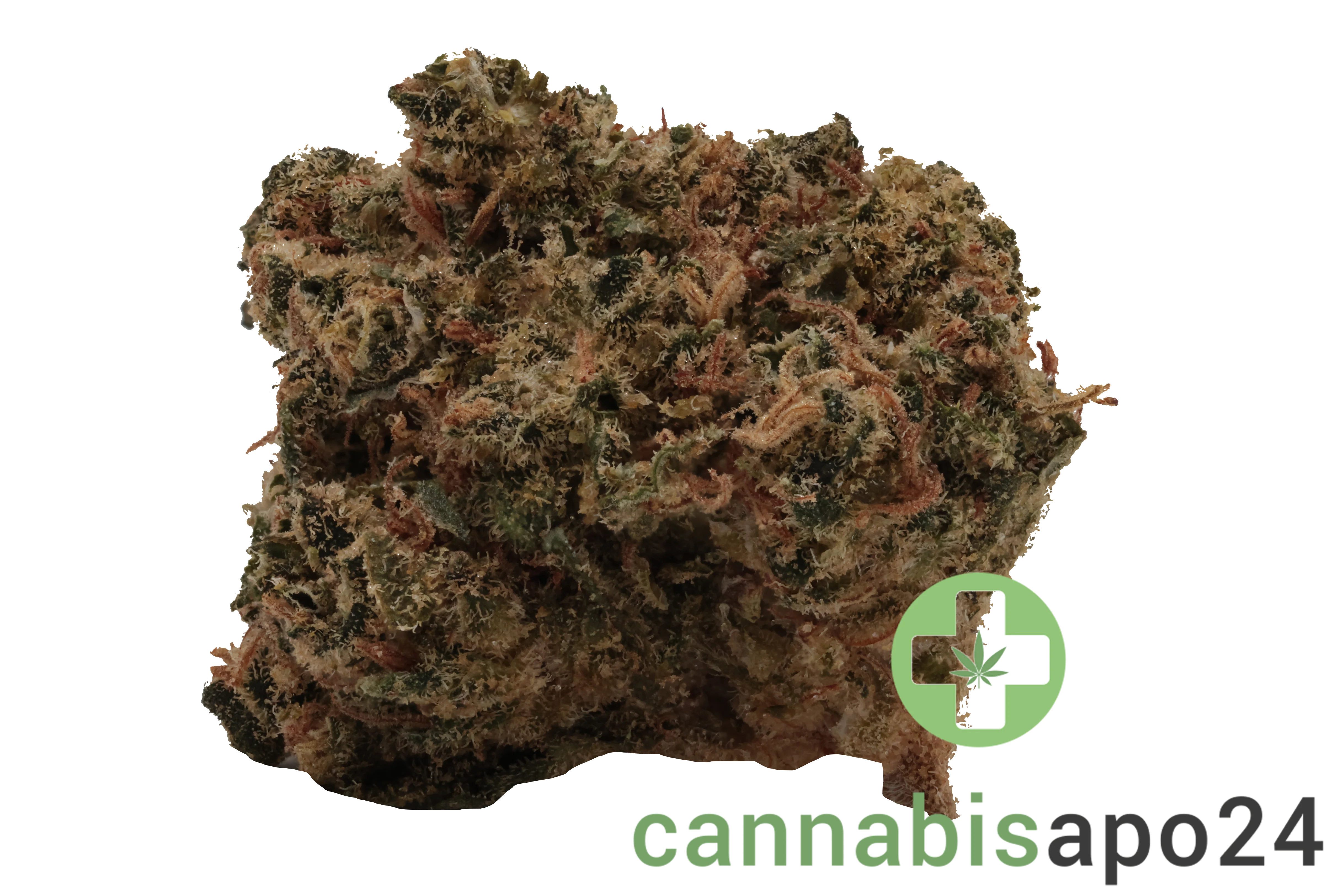 Canopy JHA 19 Jack Haze