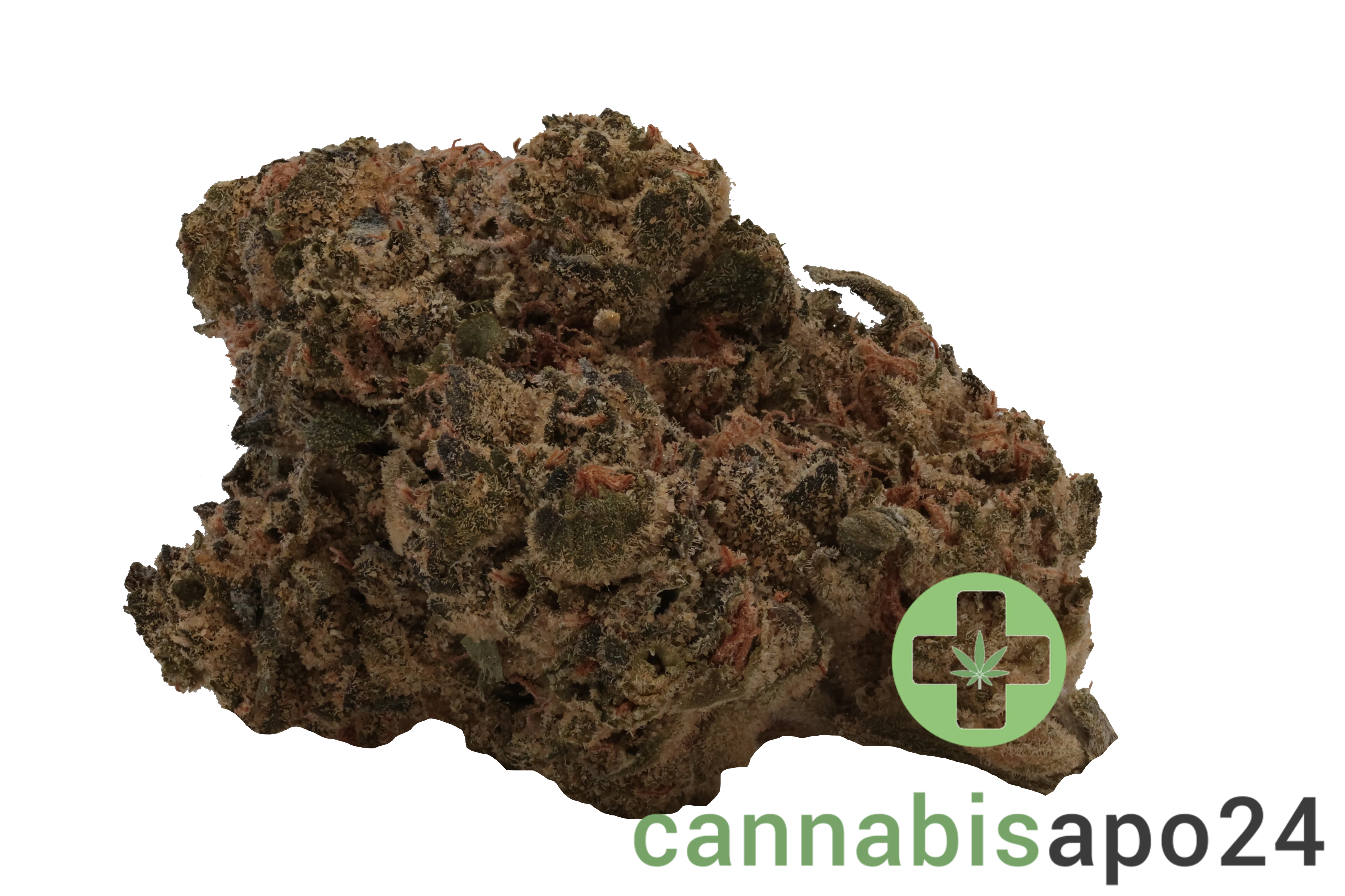 Canopy KMI 30 Kush Mints