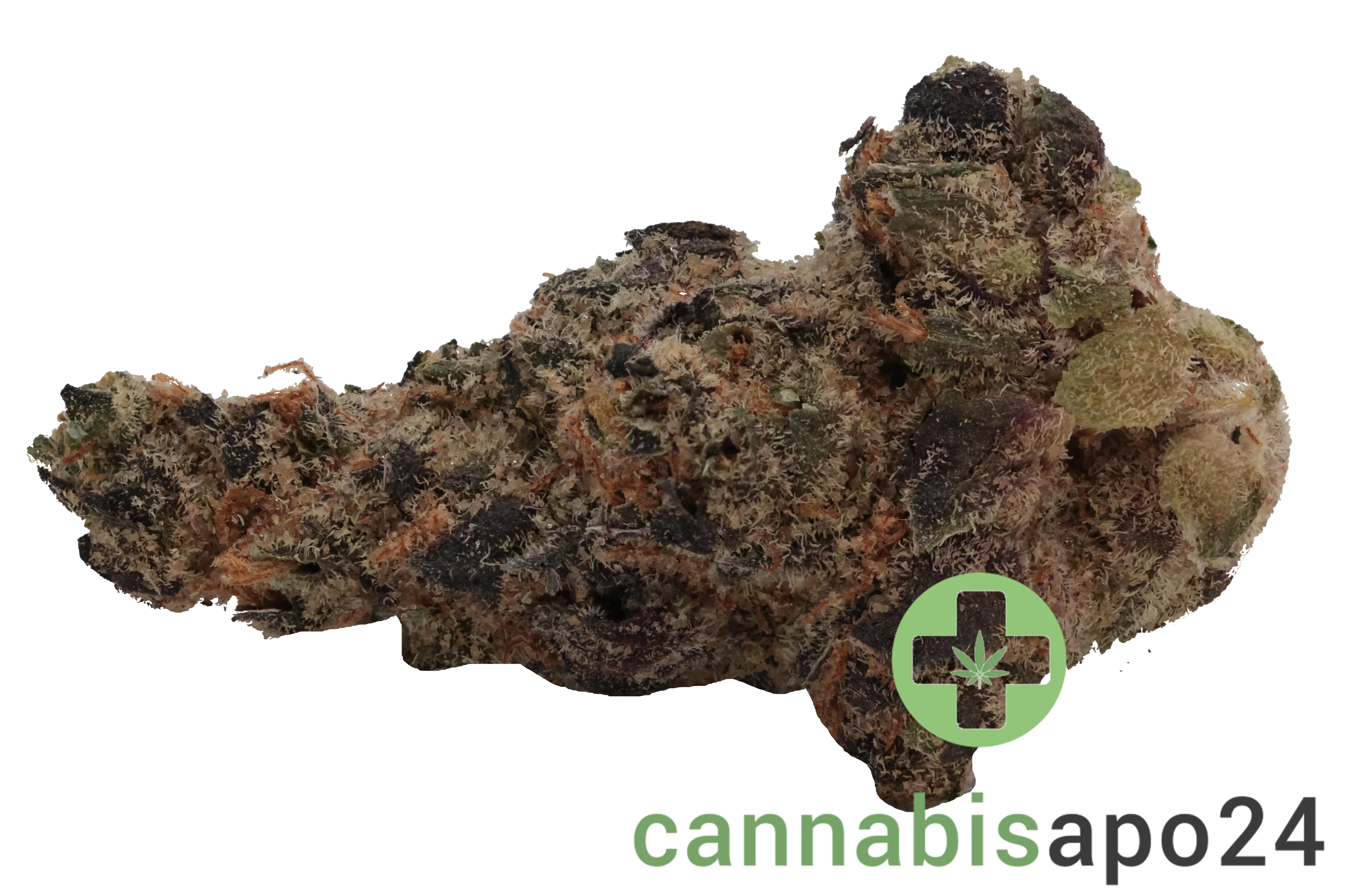 Cirrus Indica 5 27/1 Space Cake