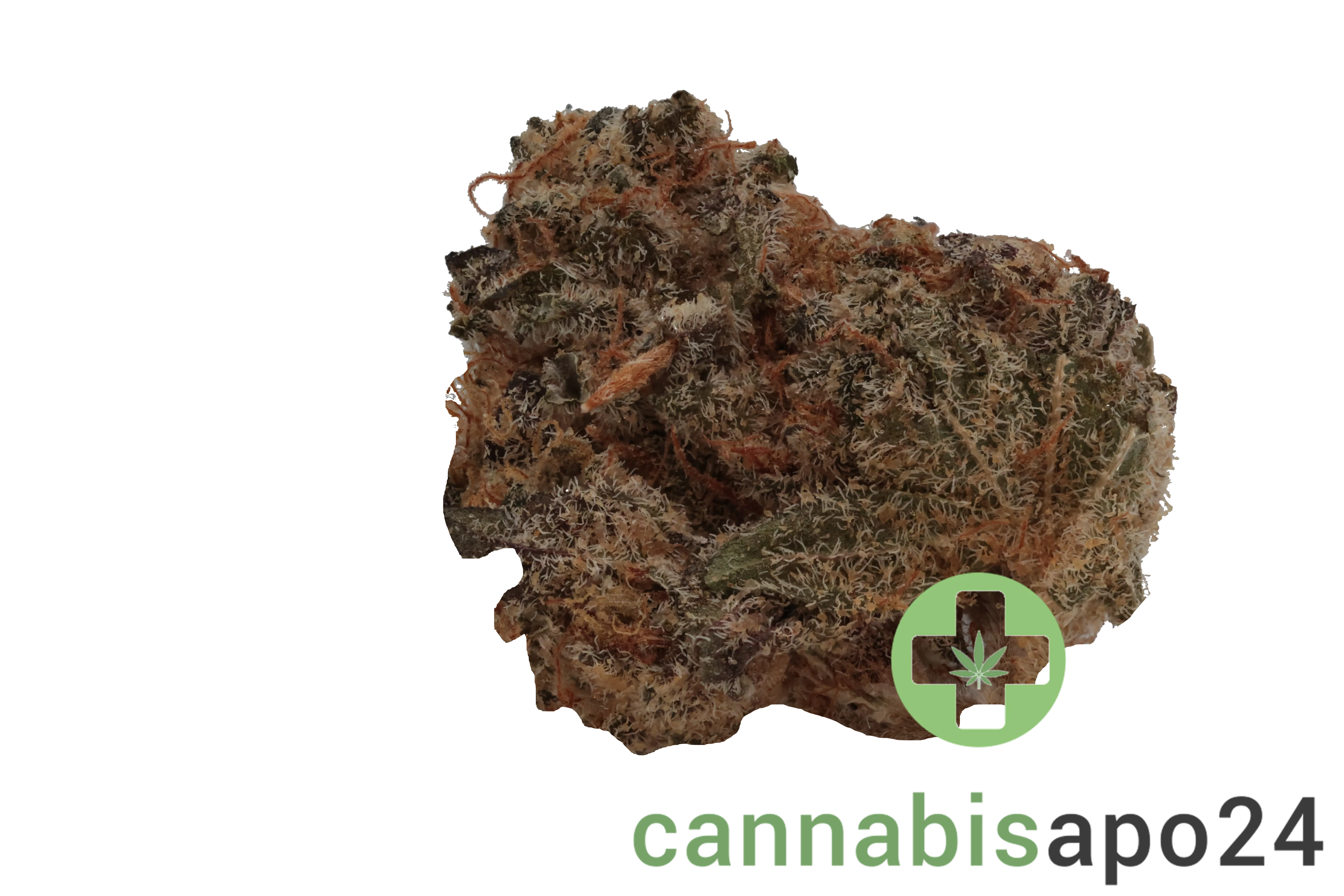 Cirrus Platinum Hybrid 27/1 Platinum Oranges
