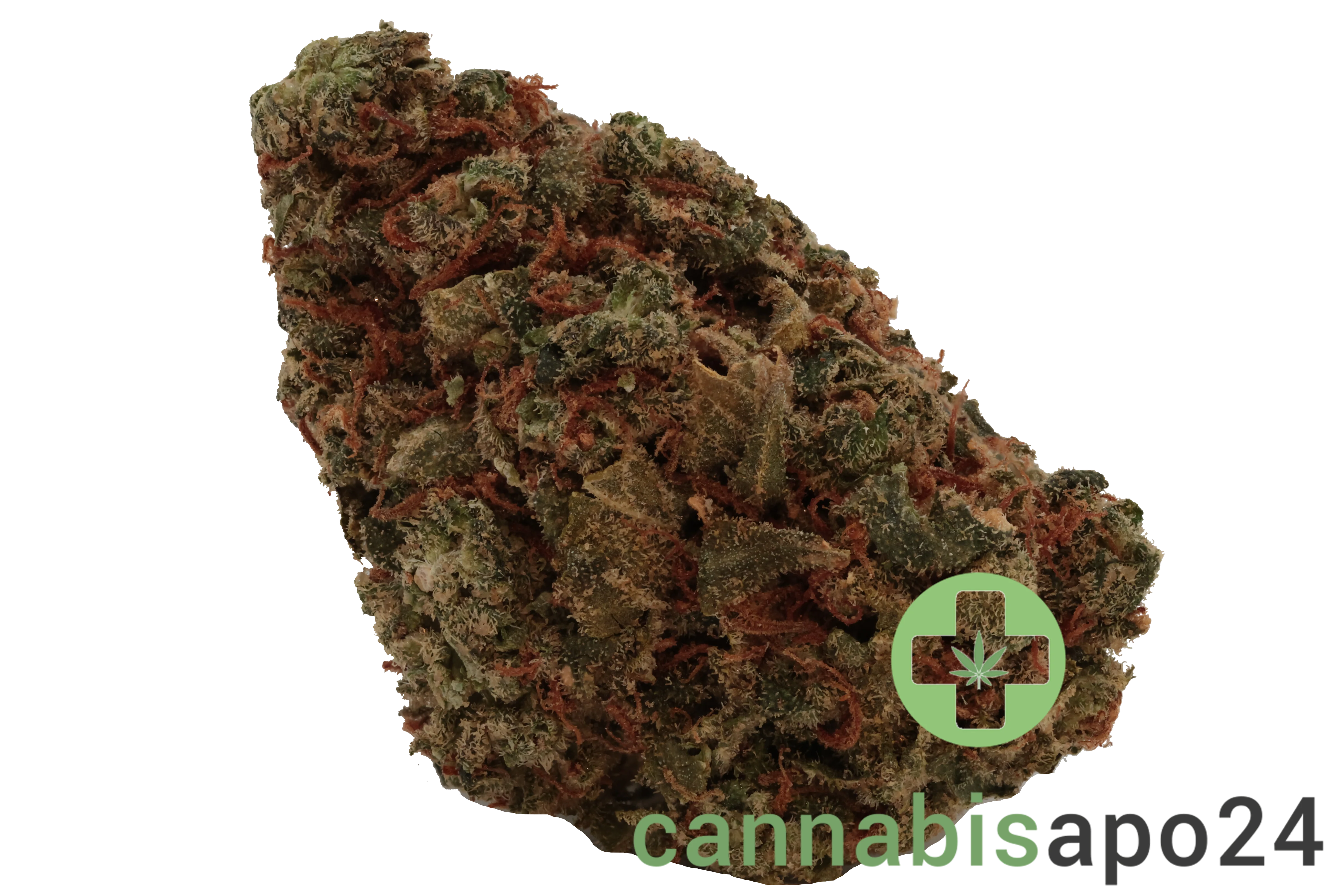 CM 20/1 OG Kush
