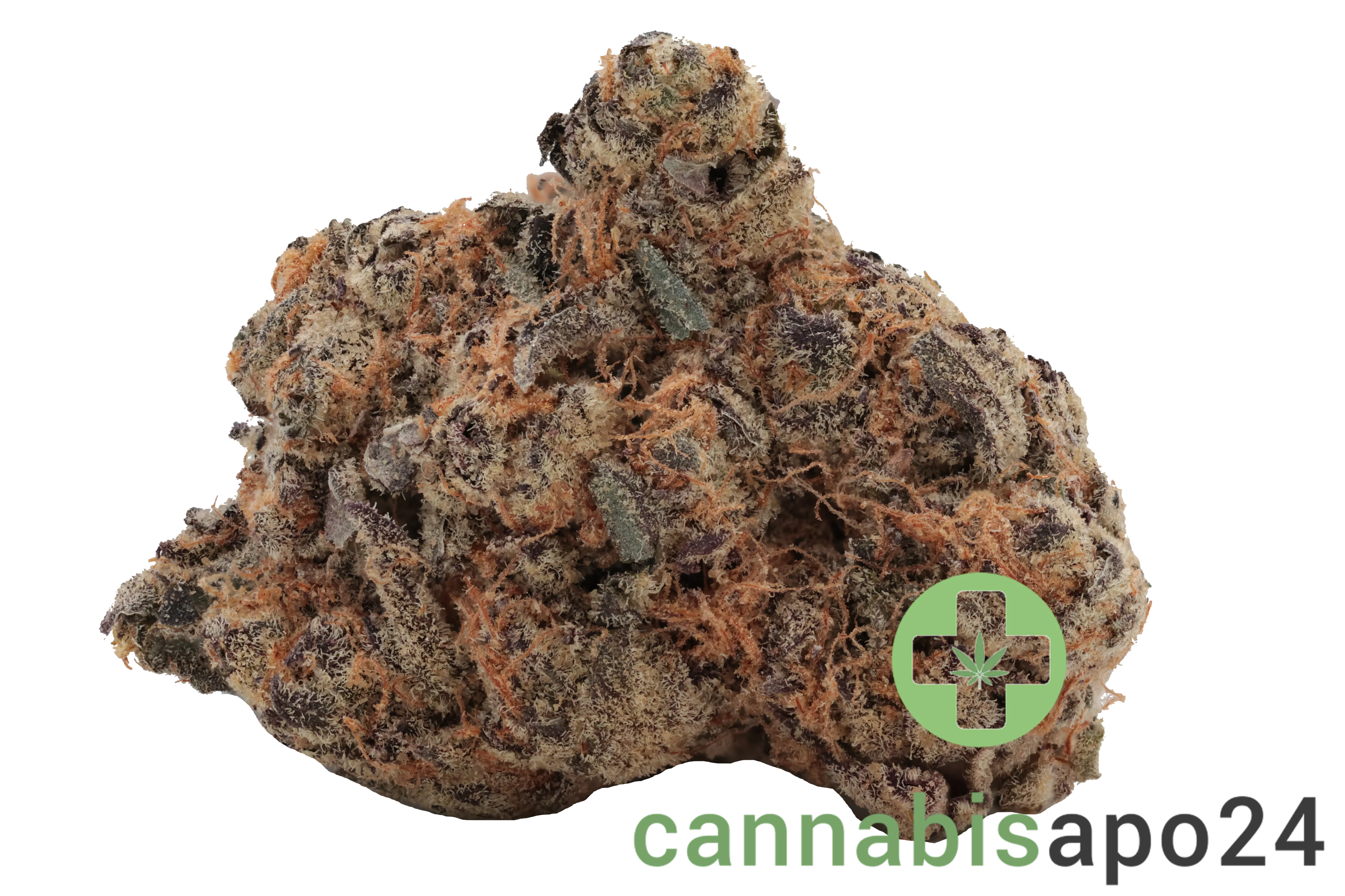 CM 24/1 PG - Platinum Grapes