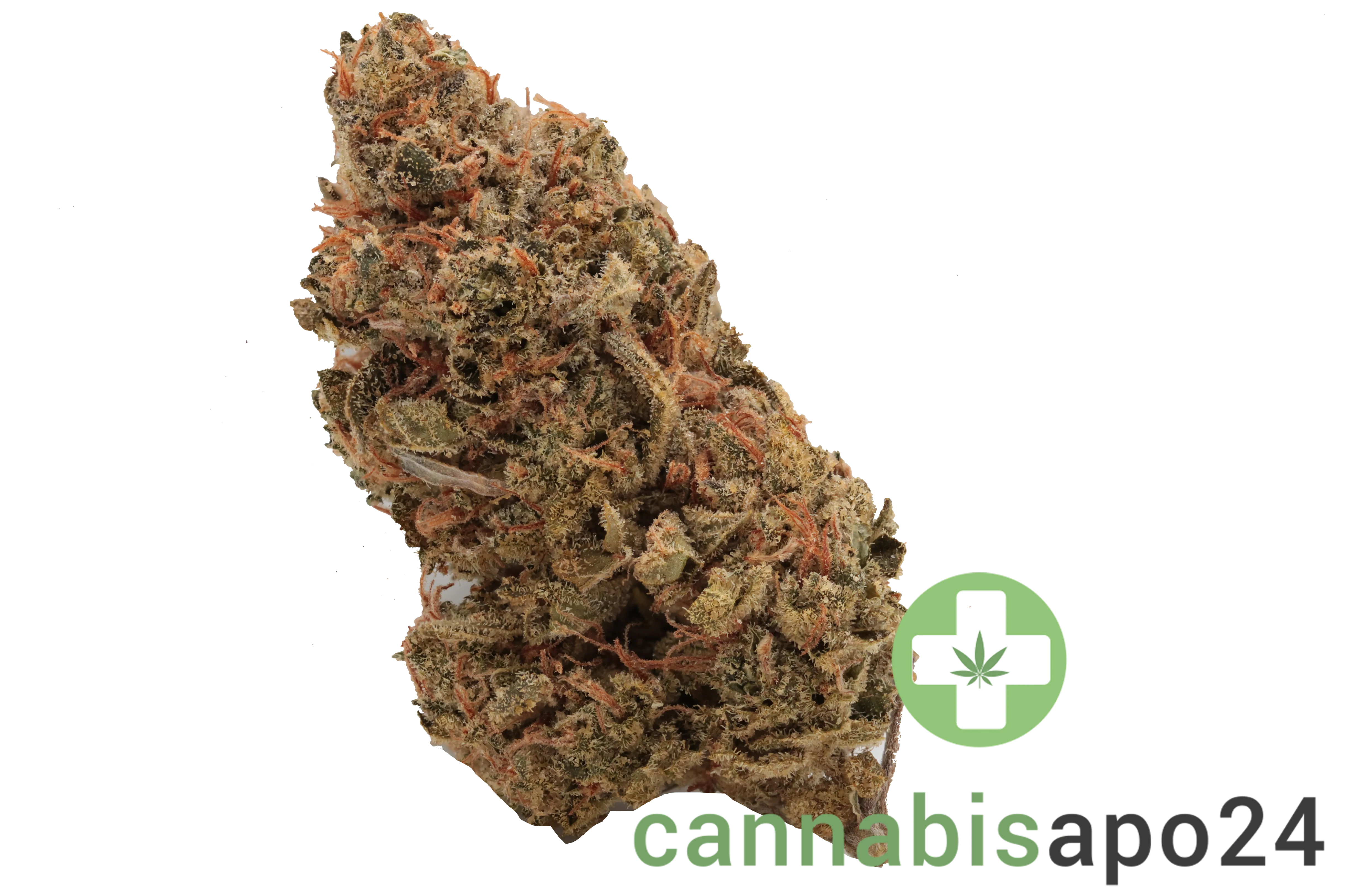 Cannamedical Indica forte NM