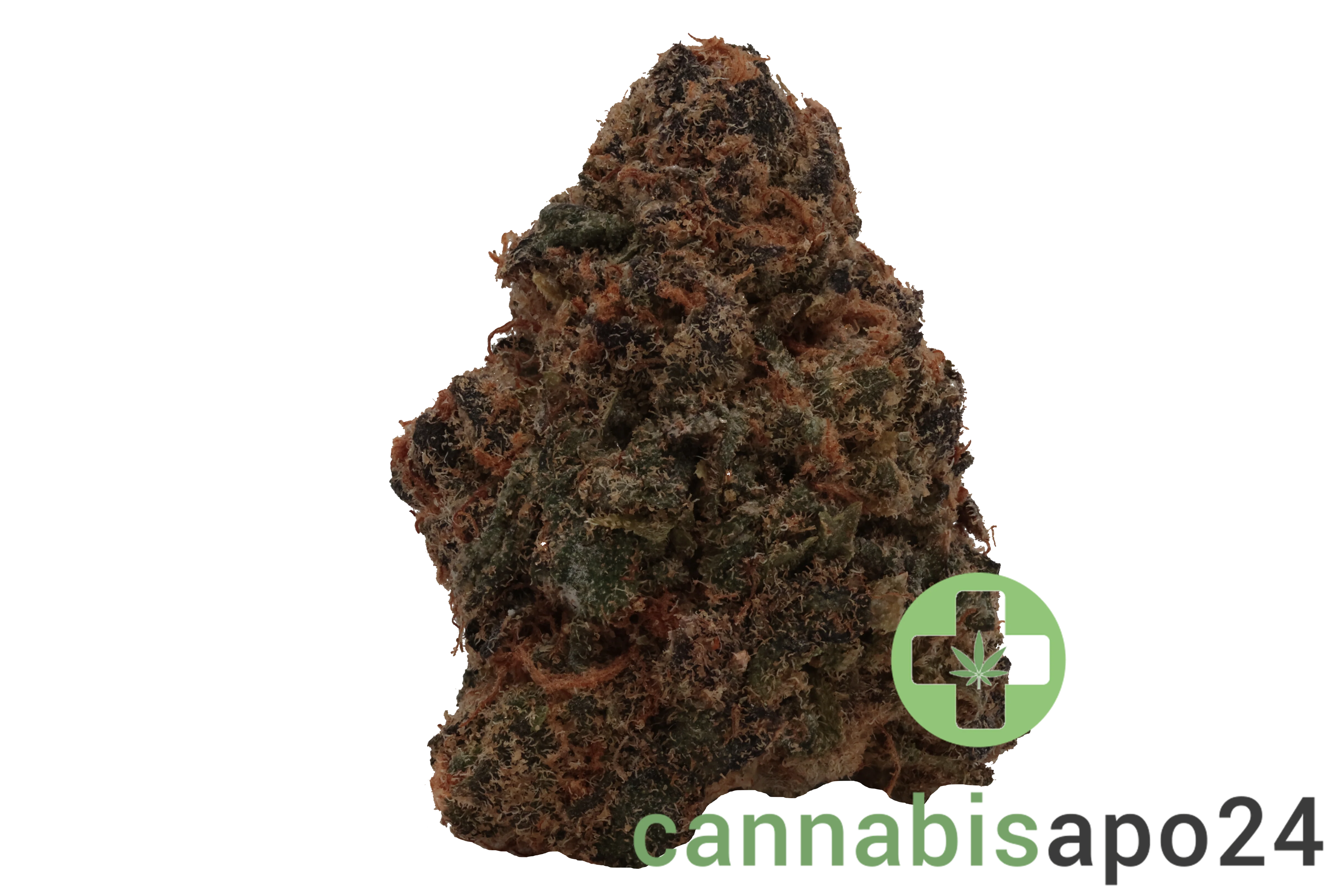 CNBS FRF 21/1 - Fire Fruit