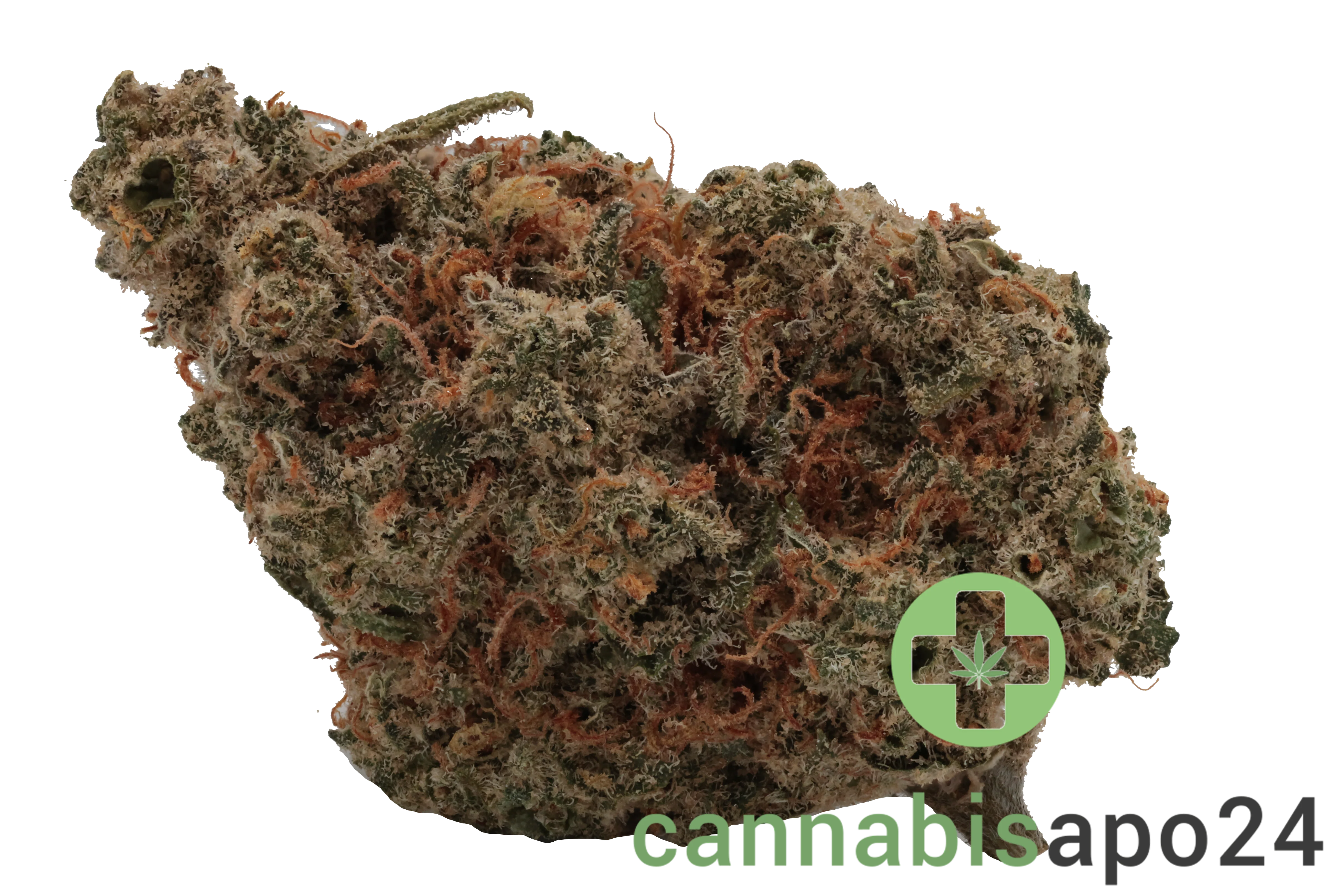 CNBS OCM 23/1 - Orange Cookie Mac