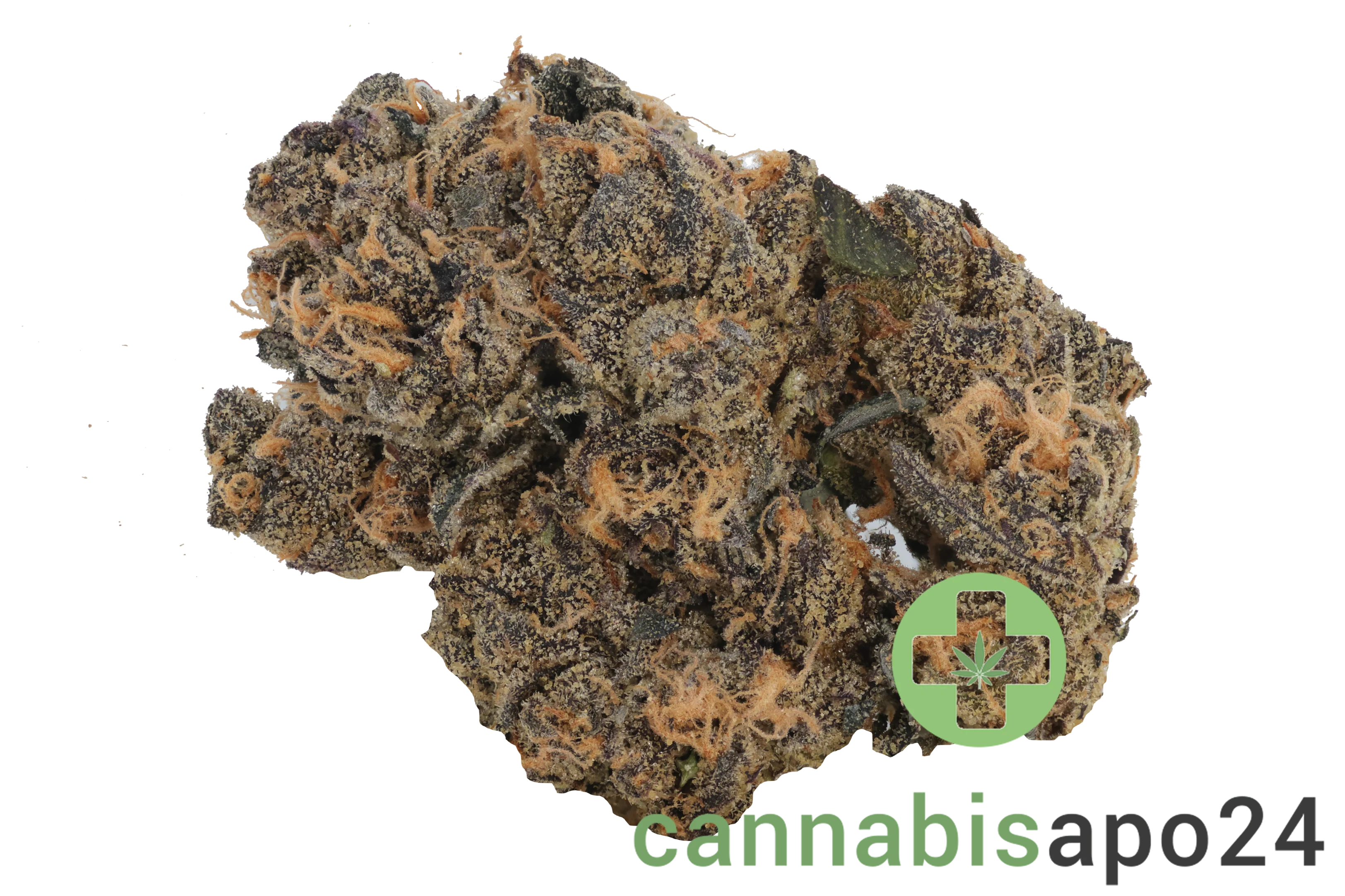 Cookies 2.0 A&B 26/1 CAN