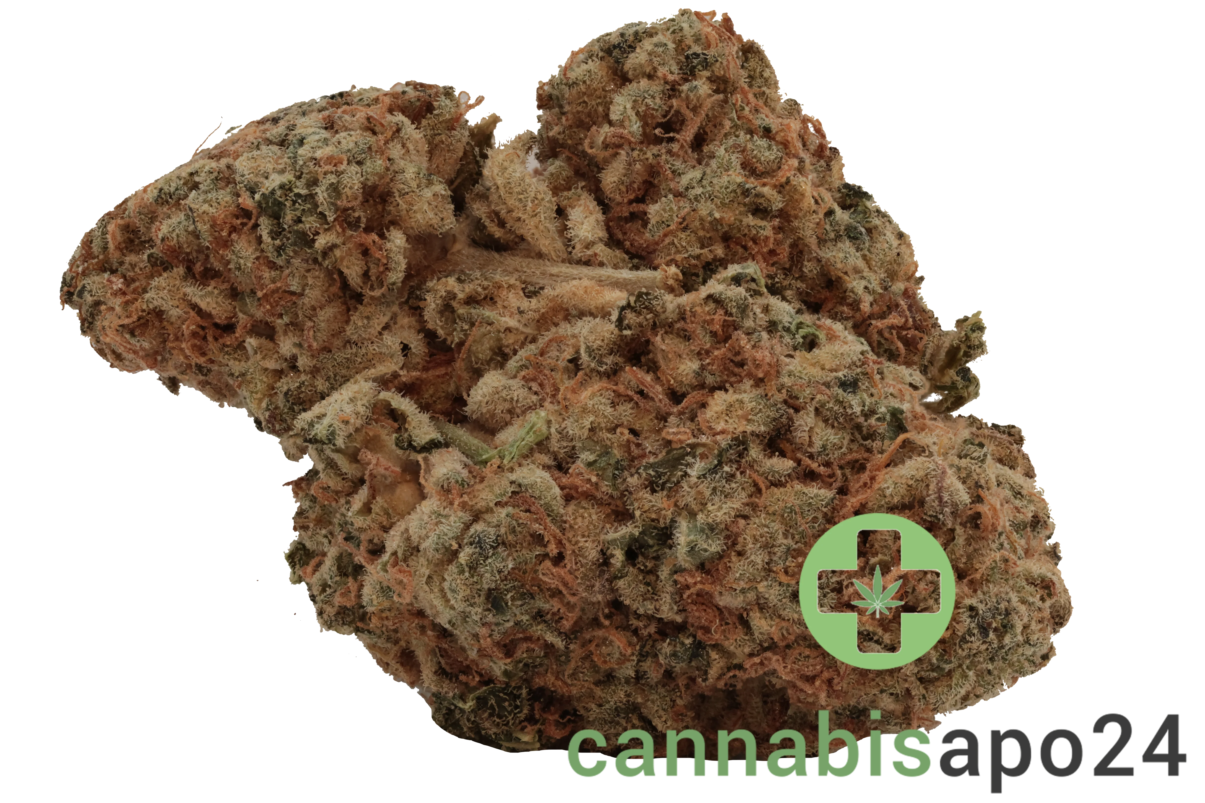 Cookies 2.0 Medellin 26/1 CAN